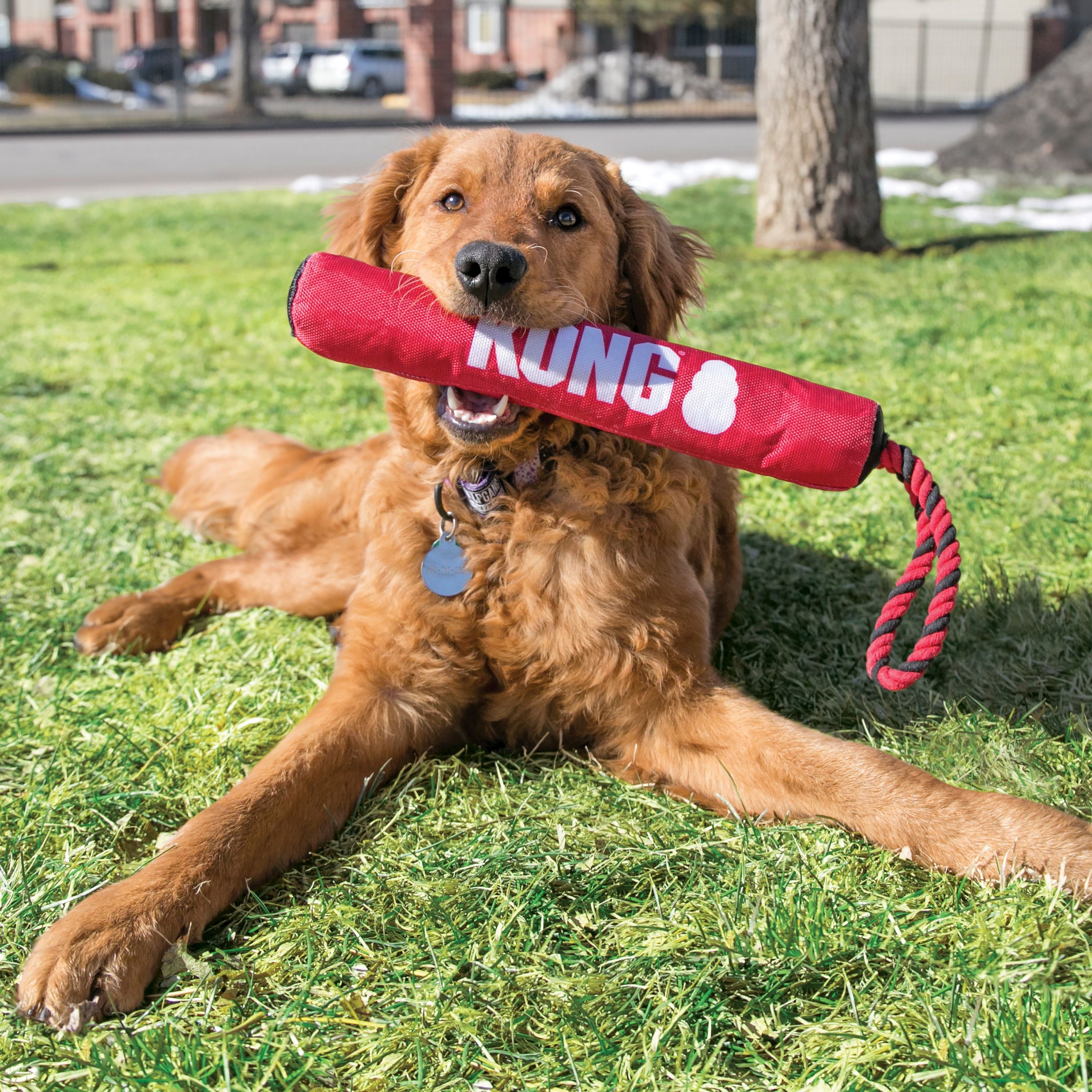 KONG® Signature Stick with Rope Soft Body Dog Toy - Medium