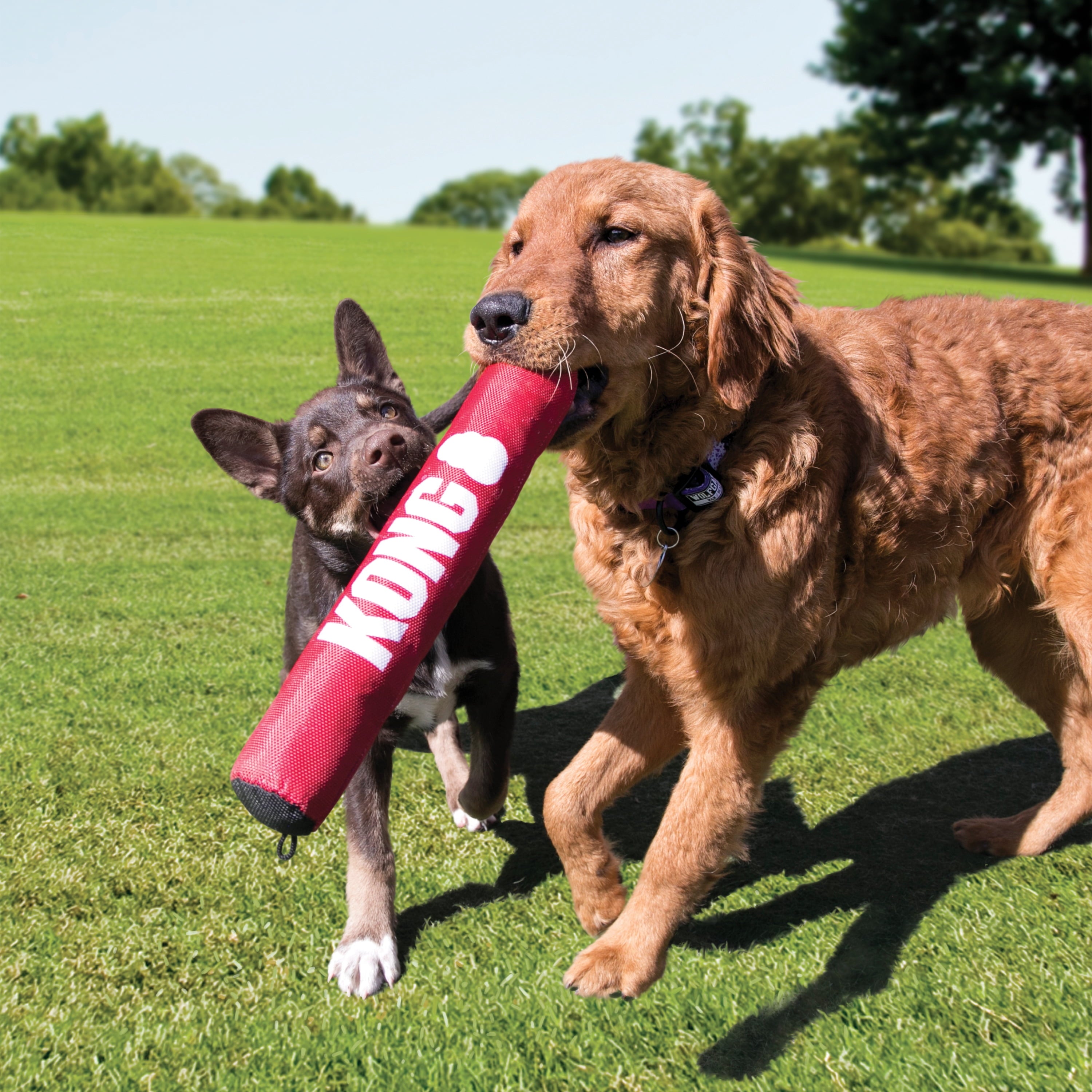 KONG® Signature Stick Soft Body Dog Toy - Medium