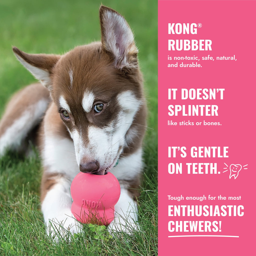 KONG® Puppy Binkie Stuffable Dog Toy - Pink, Medium for Beginner Chewers