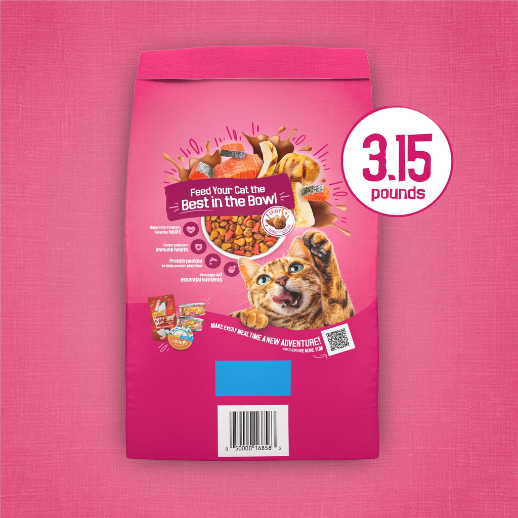 Purina Friskies Gravy Swirlers Dry Cat Food Flavors of Chicken - Salmon and Gravy, 3.15 lb Bag