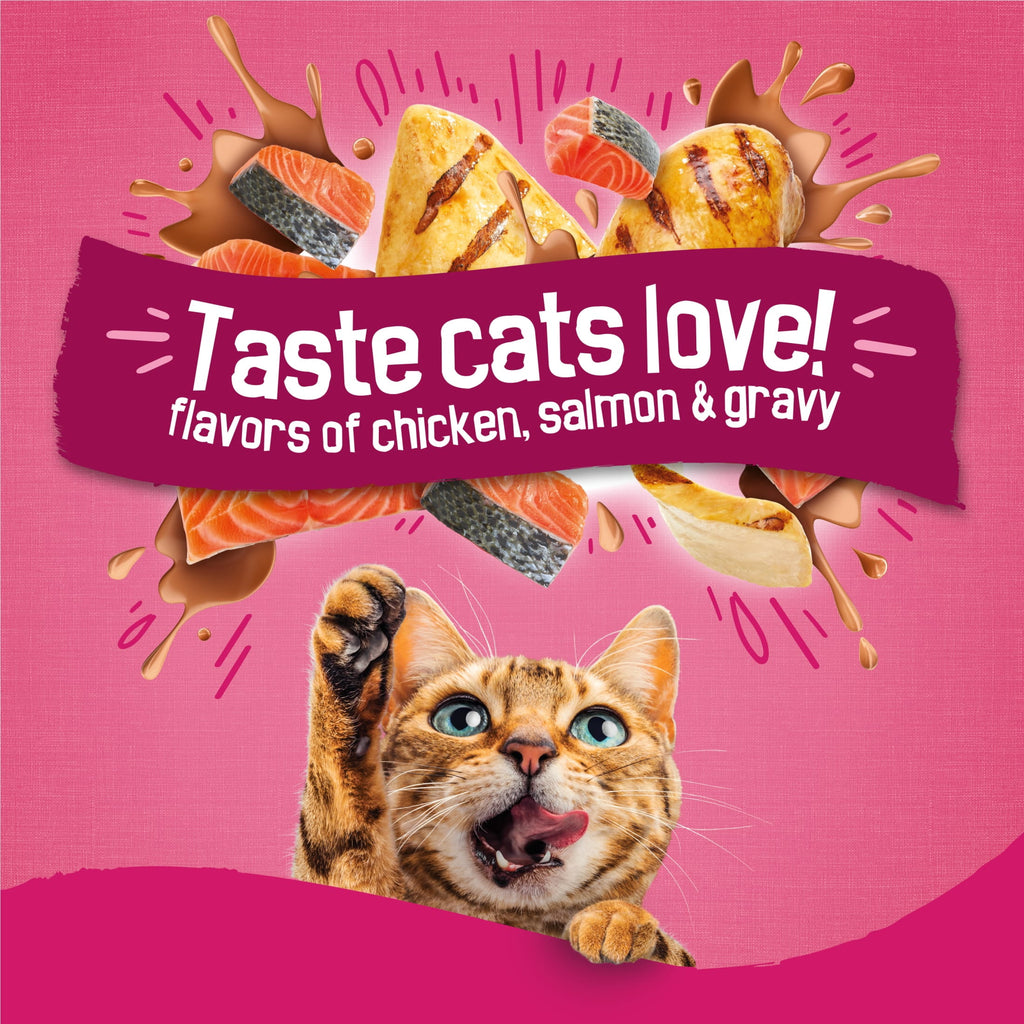 Purina Friskies Gravy Swirlers Dry Cat Food Flavors of Chicken - Salmon and Gravy, 3.15 lb Bag