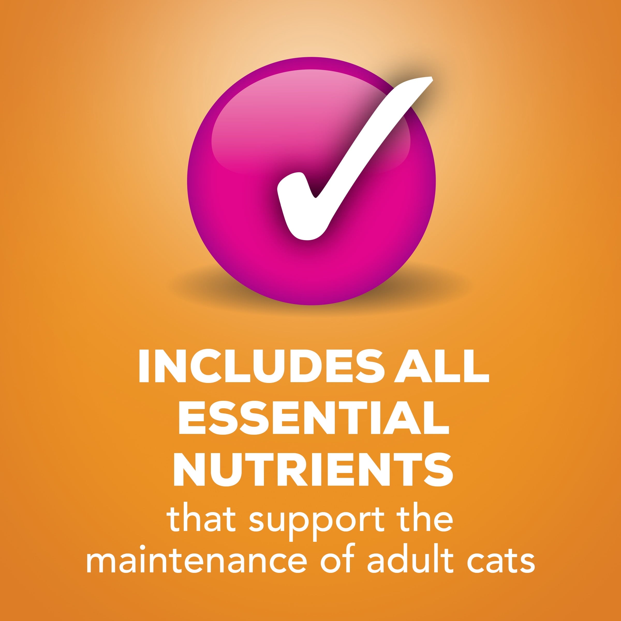 Purina Friskies Liver & Chicken Flavor Pate Wet Cat Food - 5.5 oz Can - 12-Pack