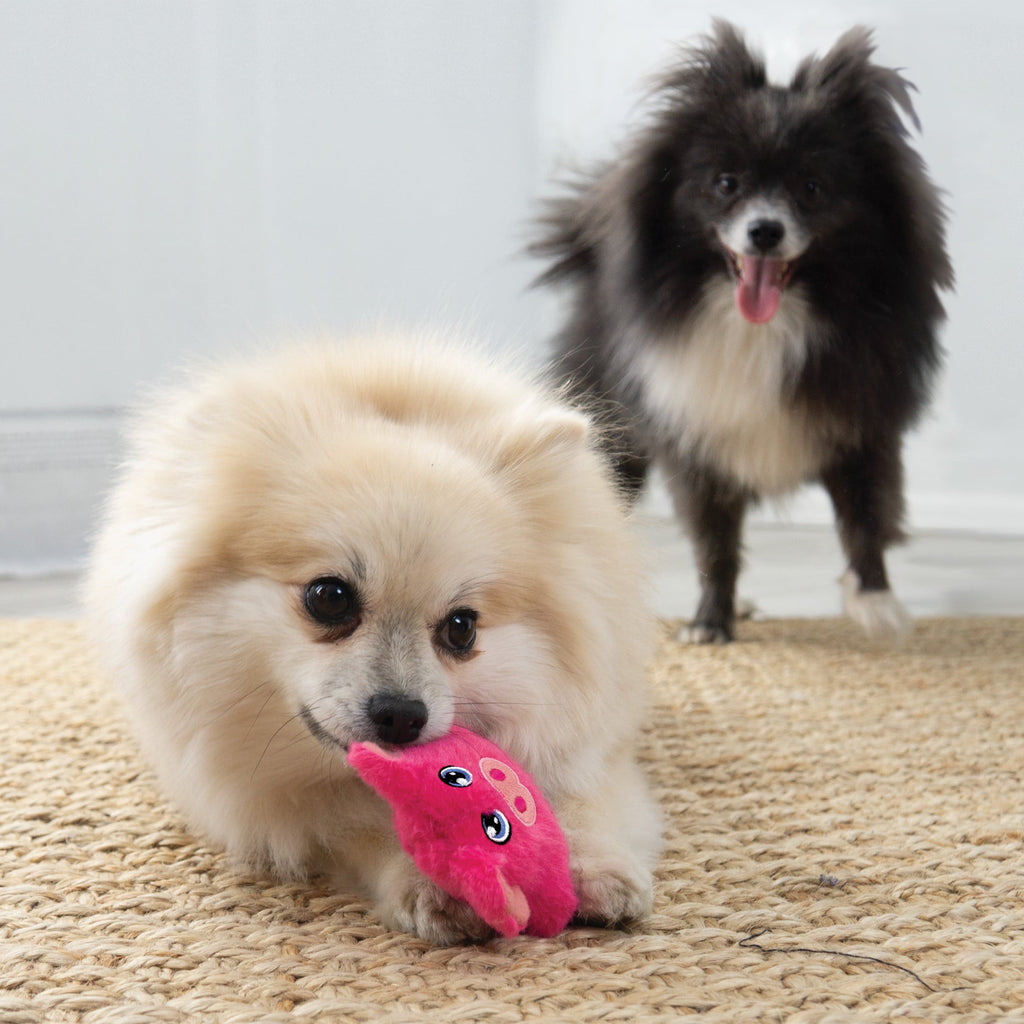 KONG® Snuzzles Plush Squeaker Dog Toy - Mini Pig, Extra Small