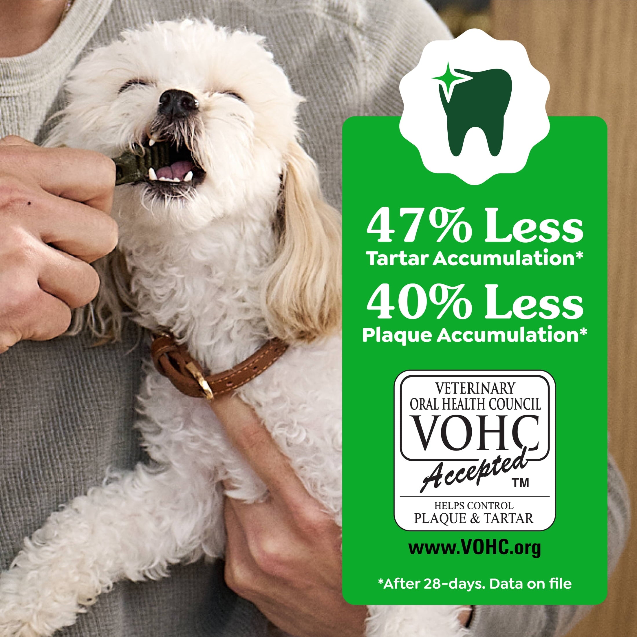 Greenies Adult Natural Dental Dog Treats Large Size - Blueberry Flavor, 12 oz. Pack, 8 Count