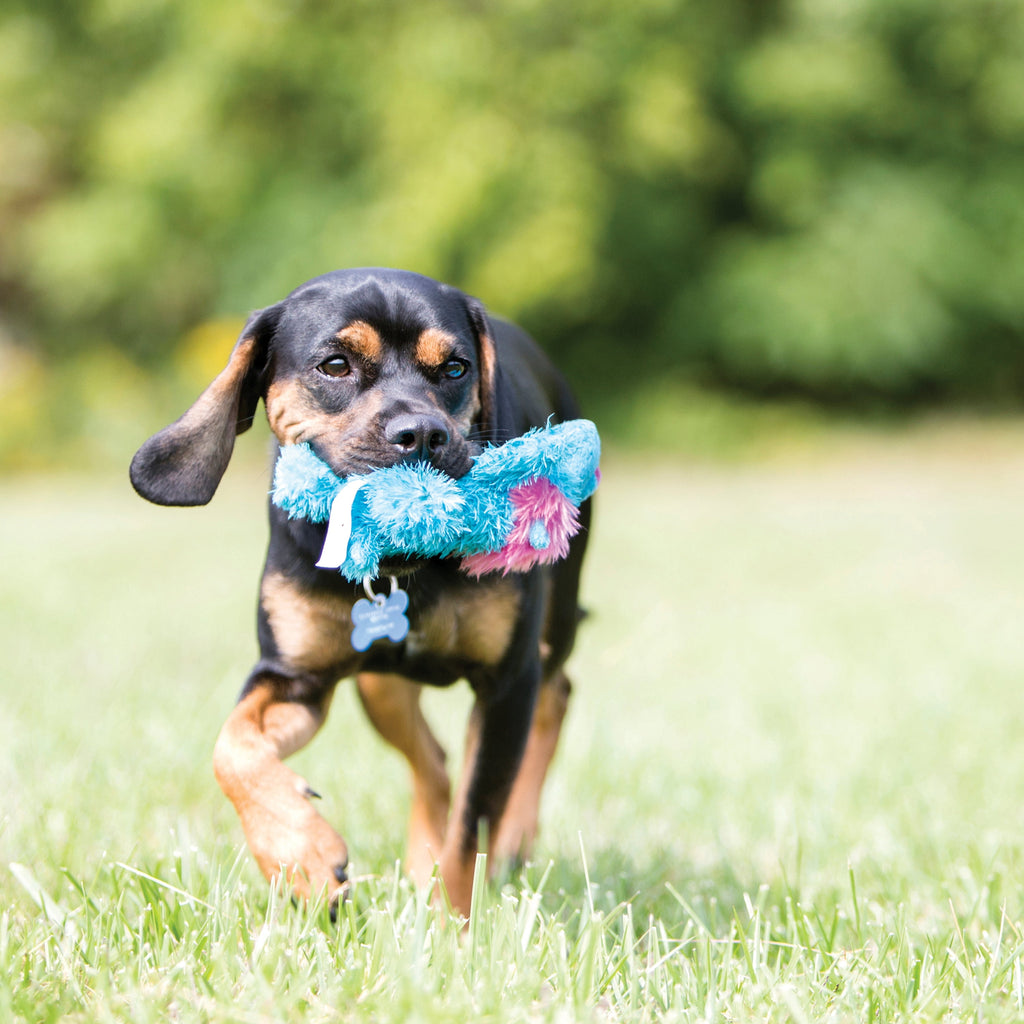 KONG® Cozie™ Marvin the Moose Dog Toy - Medium