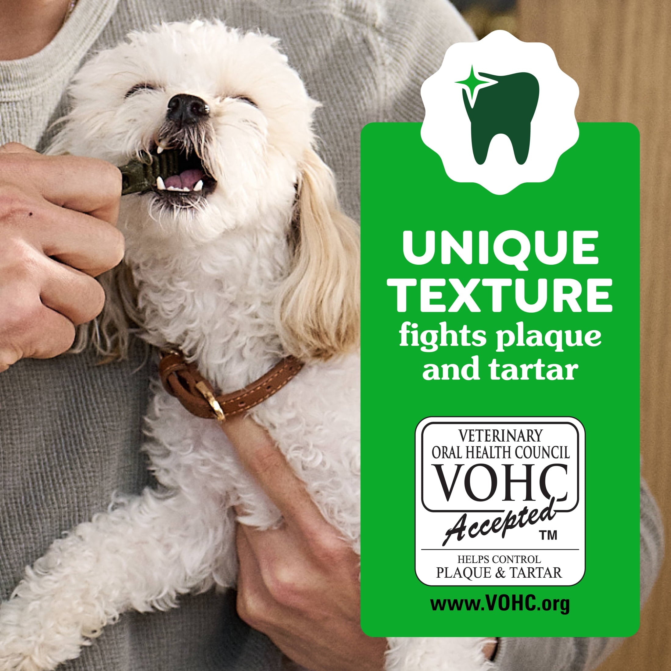 Greenies Aging Care Adult Natural Dental Dog Treats Regular Size - 27 oz Pack (27 Count)