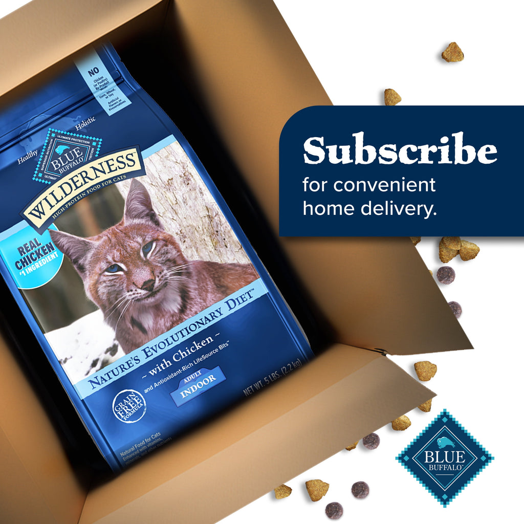 Blue Buffalo Wilderness Natural High-Protein - Grain-Free Dry Cat Food, Chicken, 9.5-lb. Bag - 2-Pack