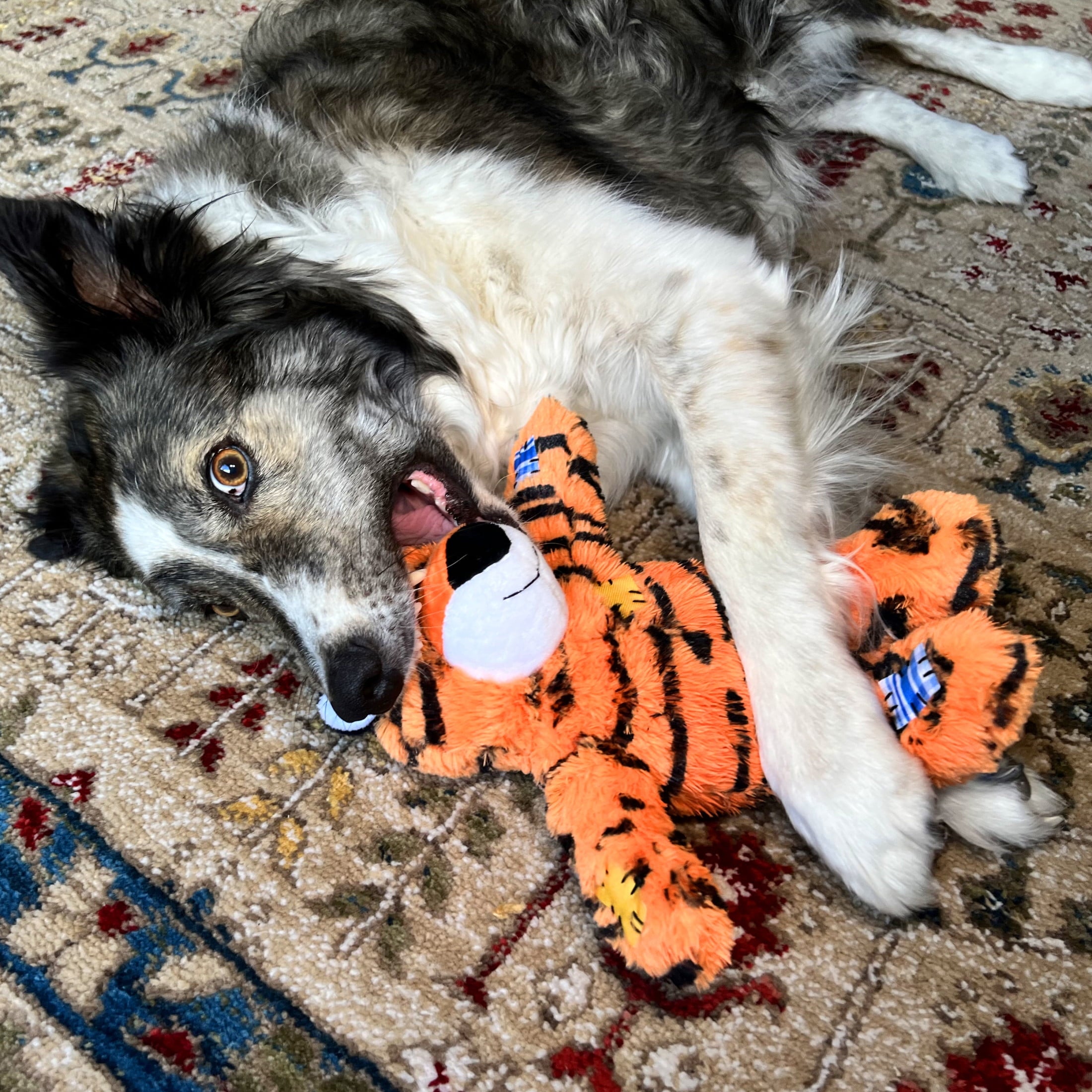 KONGÂ® Wild Knots Internal Rope Skeleton Dog Toy - Tiger, Small/Medium