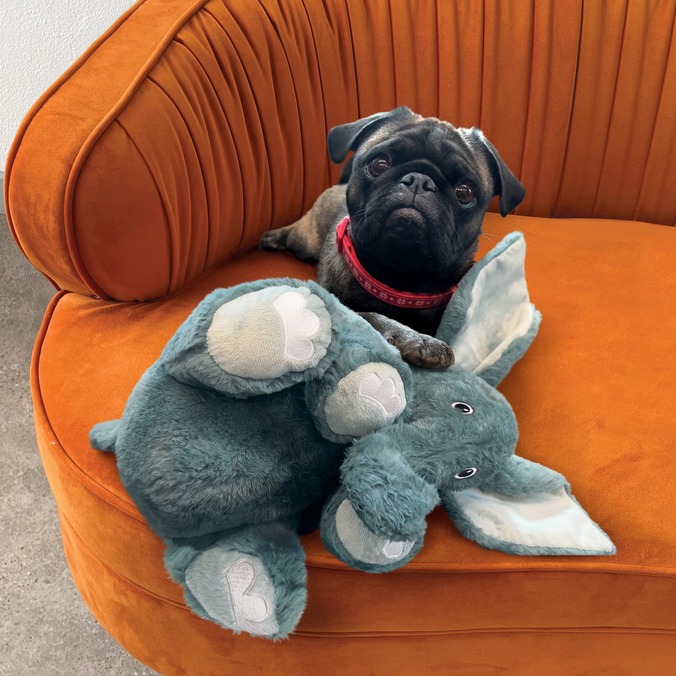KONG® Comfort Kiddos Dog Toy - Removable Squeaker, Elephant, Jumbo Extra Large