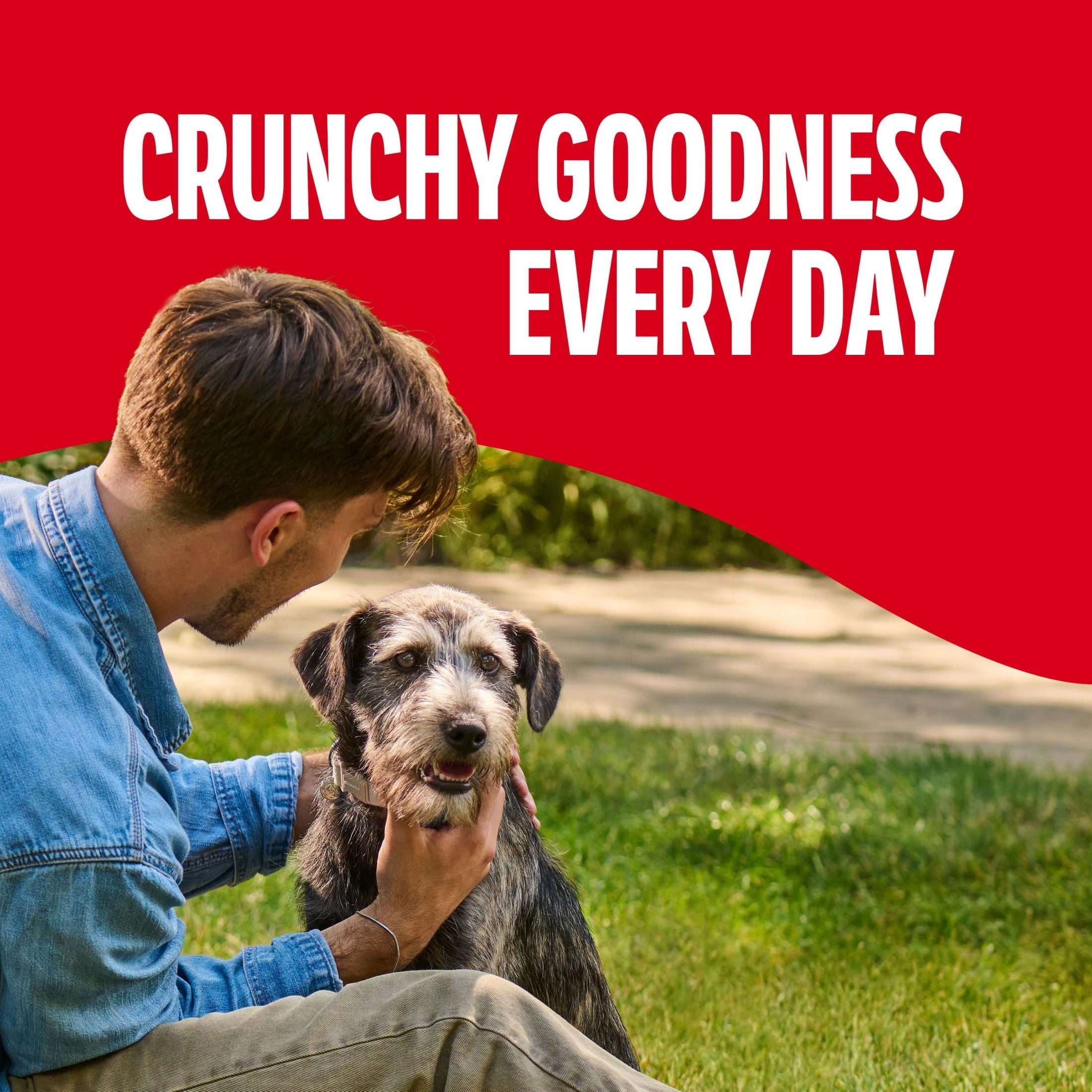 Milk Bone Crunchy Medium Dog Treats - 24 oz Box, Original Beef Flavor
