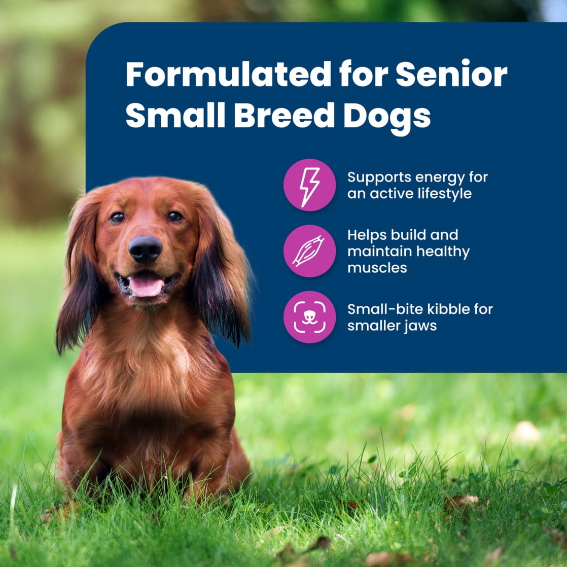 Blue Buffalo Life Protection Formula Small Breed Senior Dry Dog Food - Chicken & Rice, 15lb