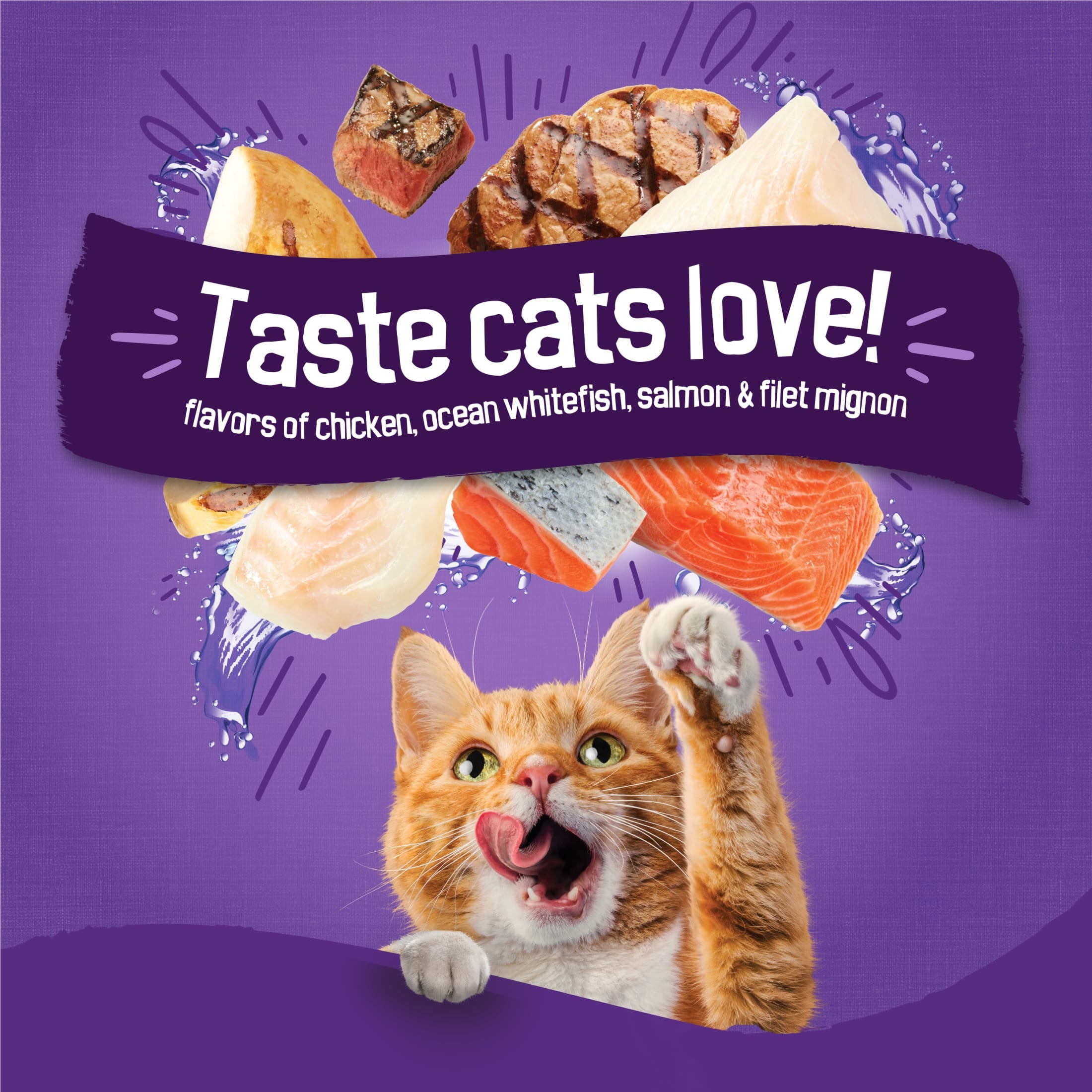 Purina Friskies Surfin and Turfin Favorites Dry Cat Food Flavors of Chicken - Whitefish, Salmon and Filet Mignon, 16 lb Bag