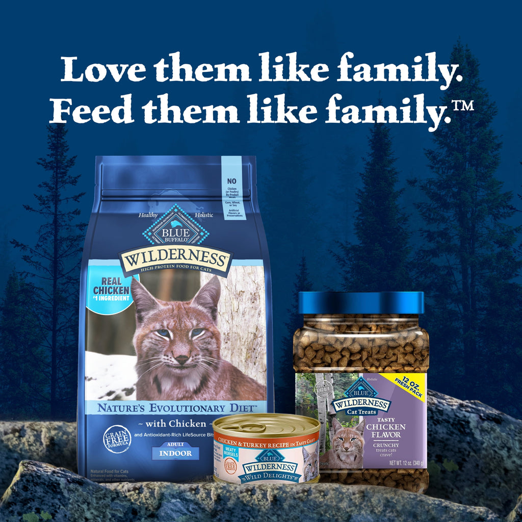 Blue Buffalo Wilderness Natural High-Protein - Grain-Free Dry Cat Food, Chicken, 9.5-lb. Bag - 2-Pack