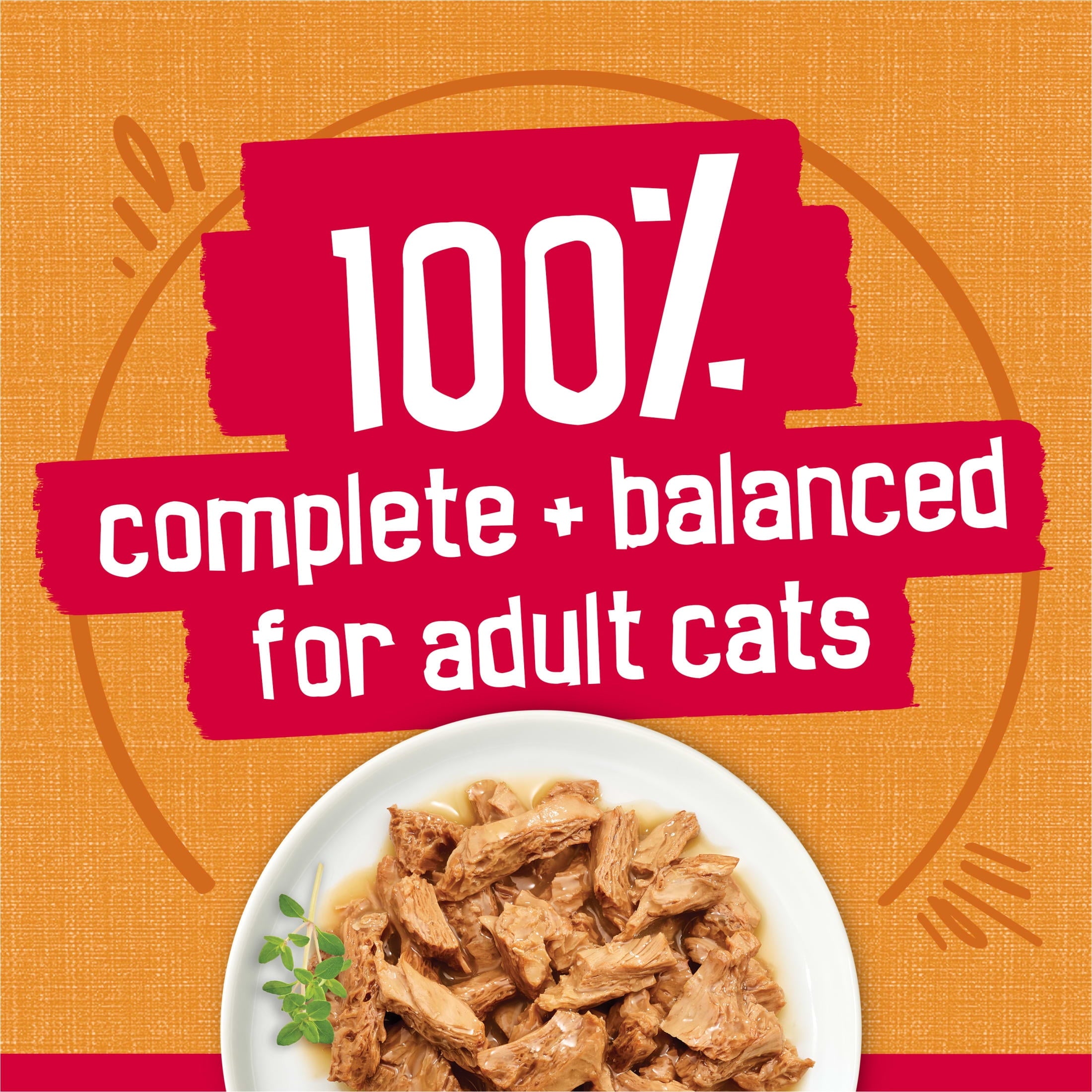 Purina Friskies Prime Filet - Chicken in Gravy, Wet Cat Food, 5.5 oz Can - 12-Pack