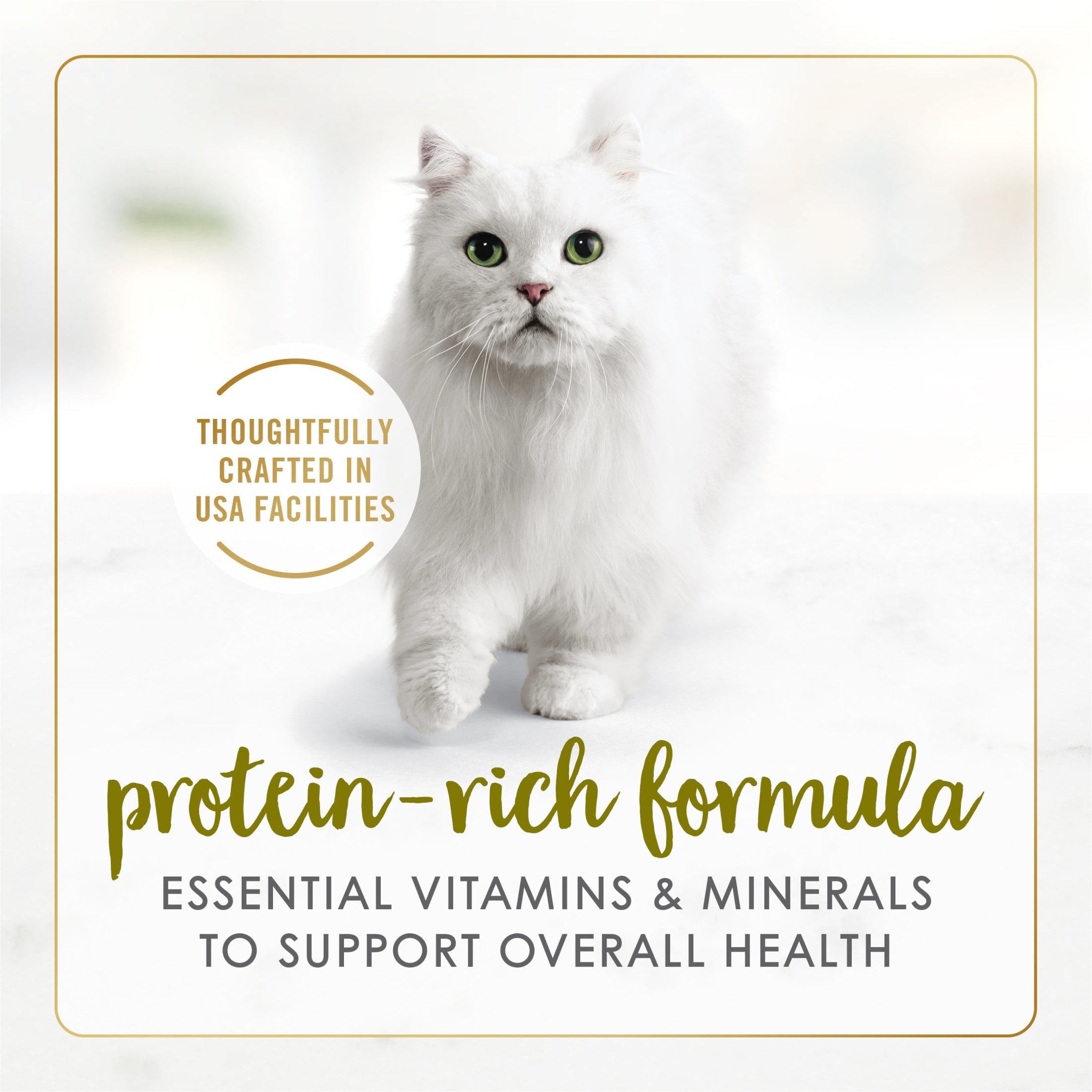 Purina Fancy Feast Pate Turkey and Giblets Feast Classic Grain Free Wet Cat Food Pate - 3 oz.
