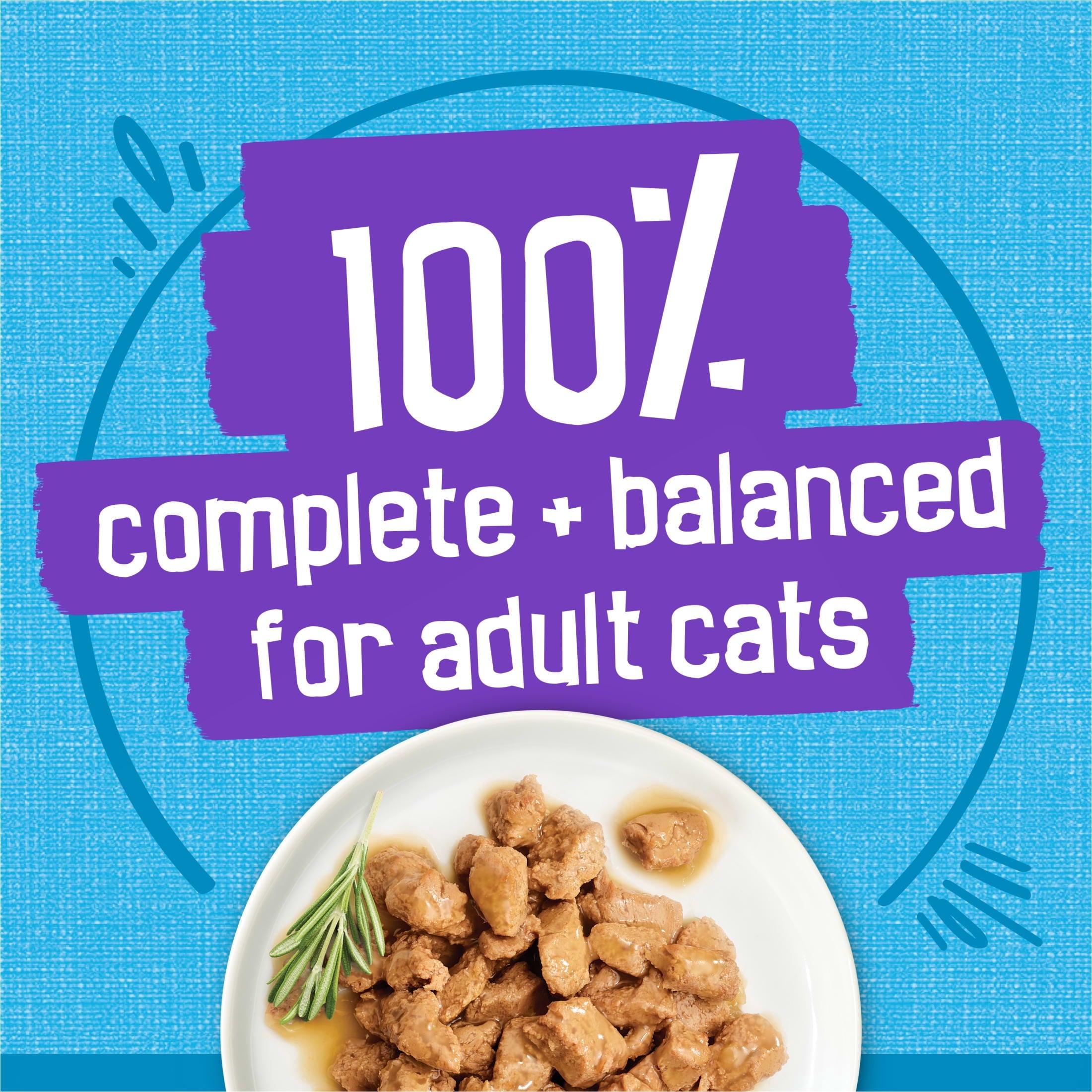 Purina Friskies Meaty Bits with Ocean Fish in Sauce Wet Cat Food - 13.5 oz Can