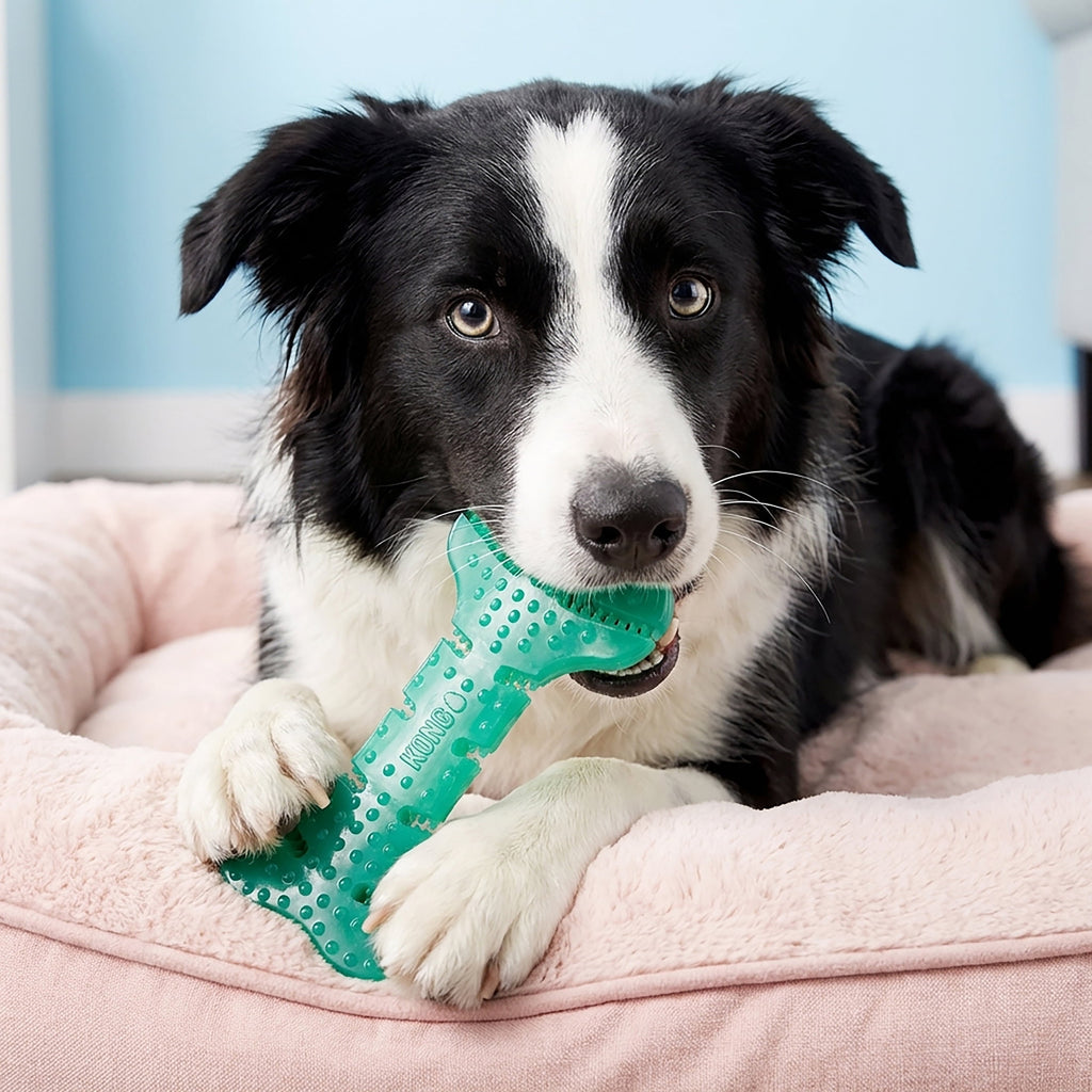 KONG® Squeezz Dental Bone Dog Toy - Medium