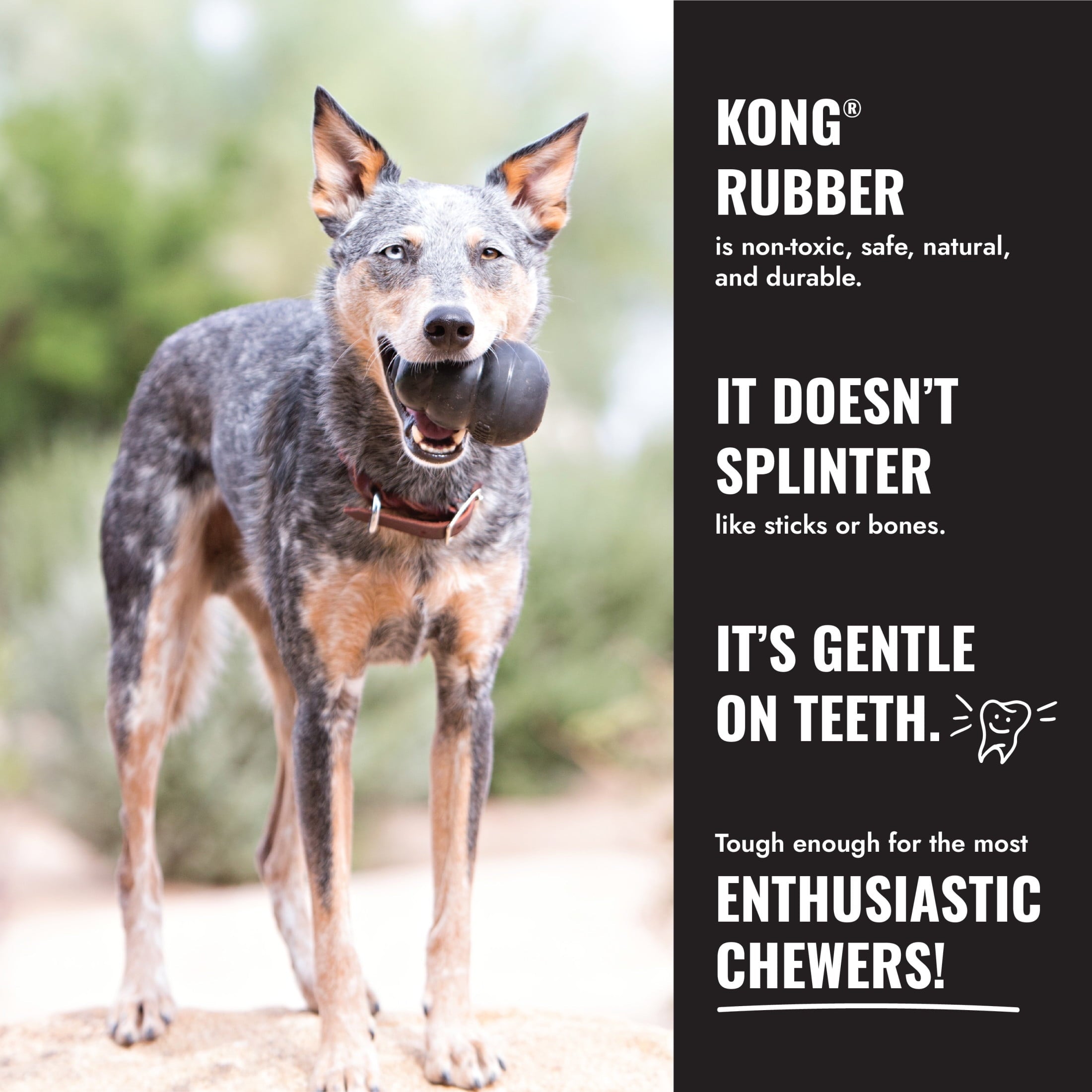KONG® Extreme Ball with Rope Durable Dog Toy - Large, for Dogs Between 30-65 lbs