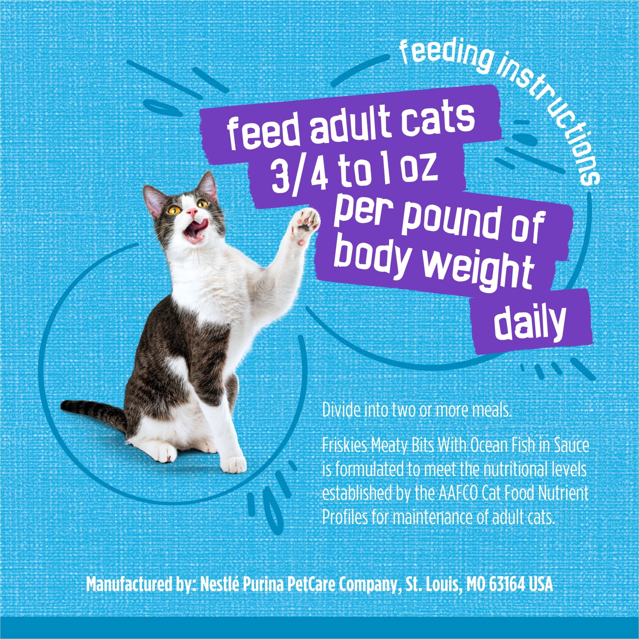 Purina Friskies Meaty Bits with Ocean Fish in Sauce Wet Cat Food - 13.5 oz Can