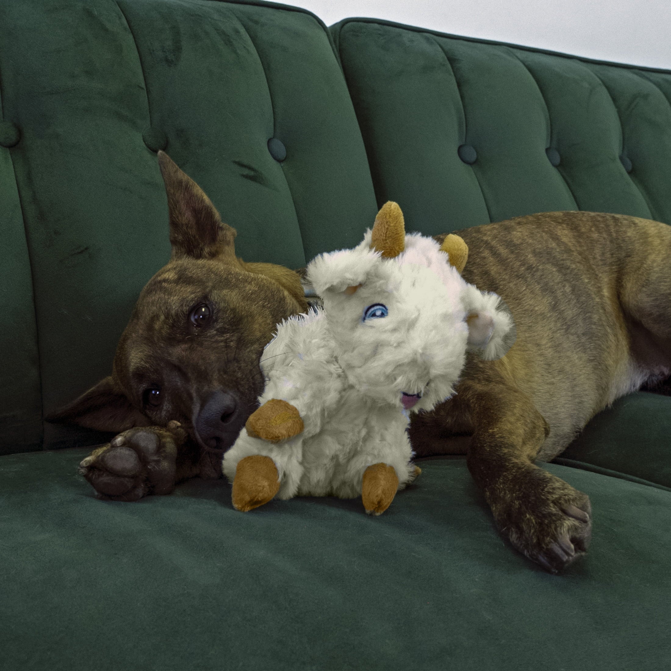 KONG® Comfort Tykes Fluffy Dog Toy - Removable Squeaker, Goat, Small