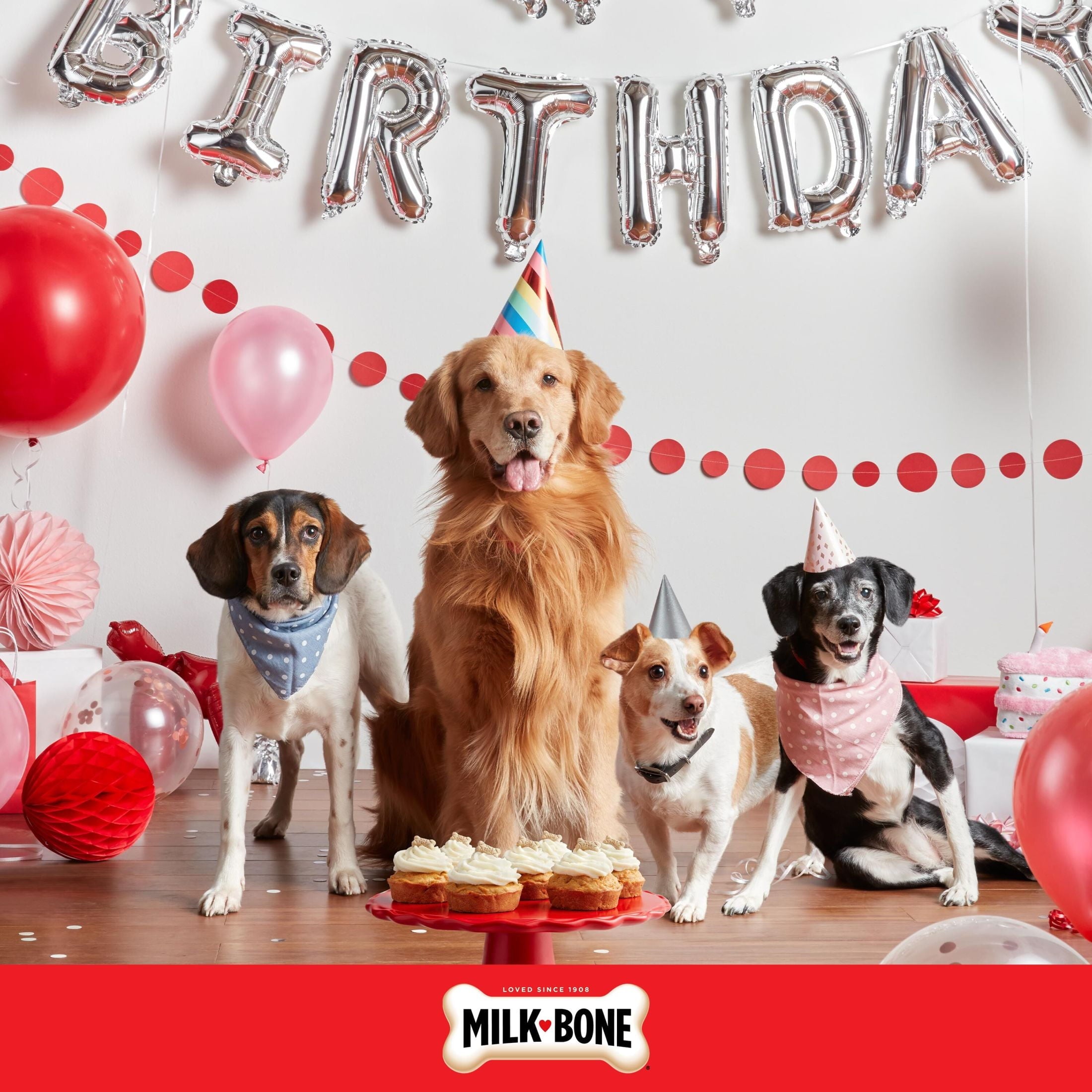 Milk Bone CELEBRATE Birthday Cake Artificially Flavored Biscuits - Small Dog Treats, 8 oz Bag - 4-Pack