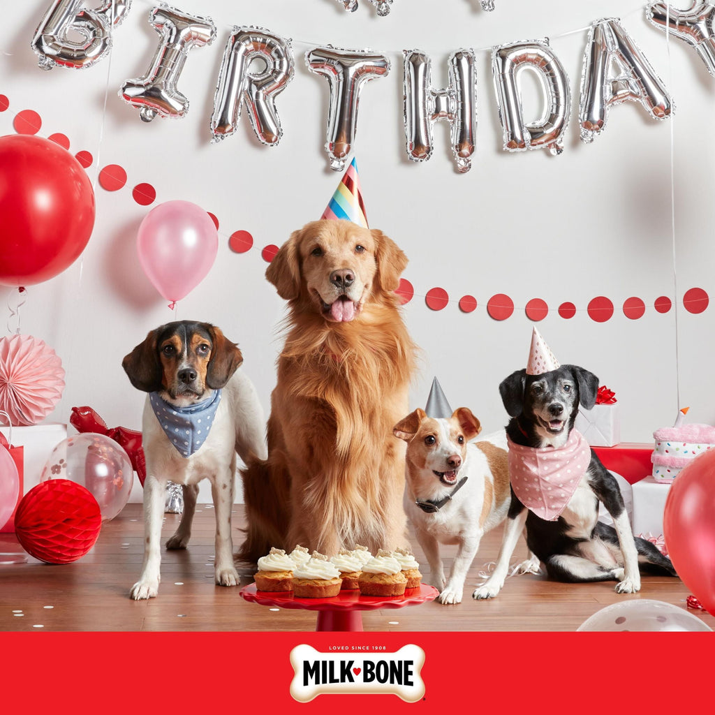 Milk Bone CELEBRATE Birthday Cake Artificially Flavored Biscuits - Small Dog Treats, 8 oz Bag - 2-Pack