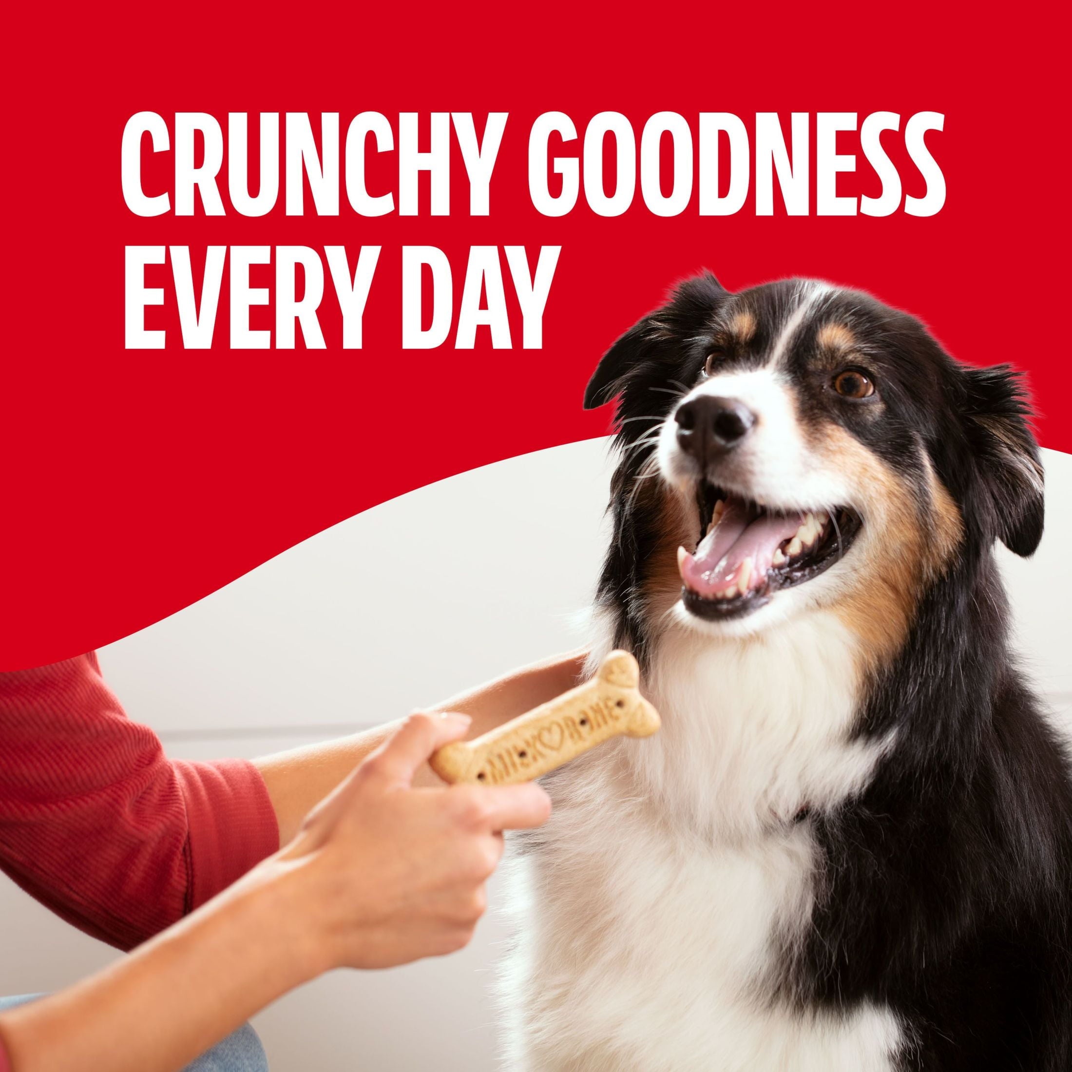 Milk Bone Crunchy Large Dog Treats - 10 Lb. Box, Original Beef Flavor