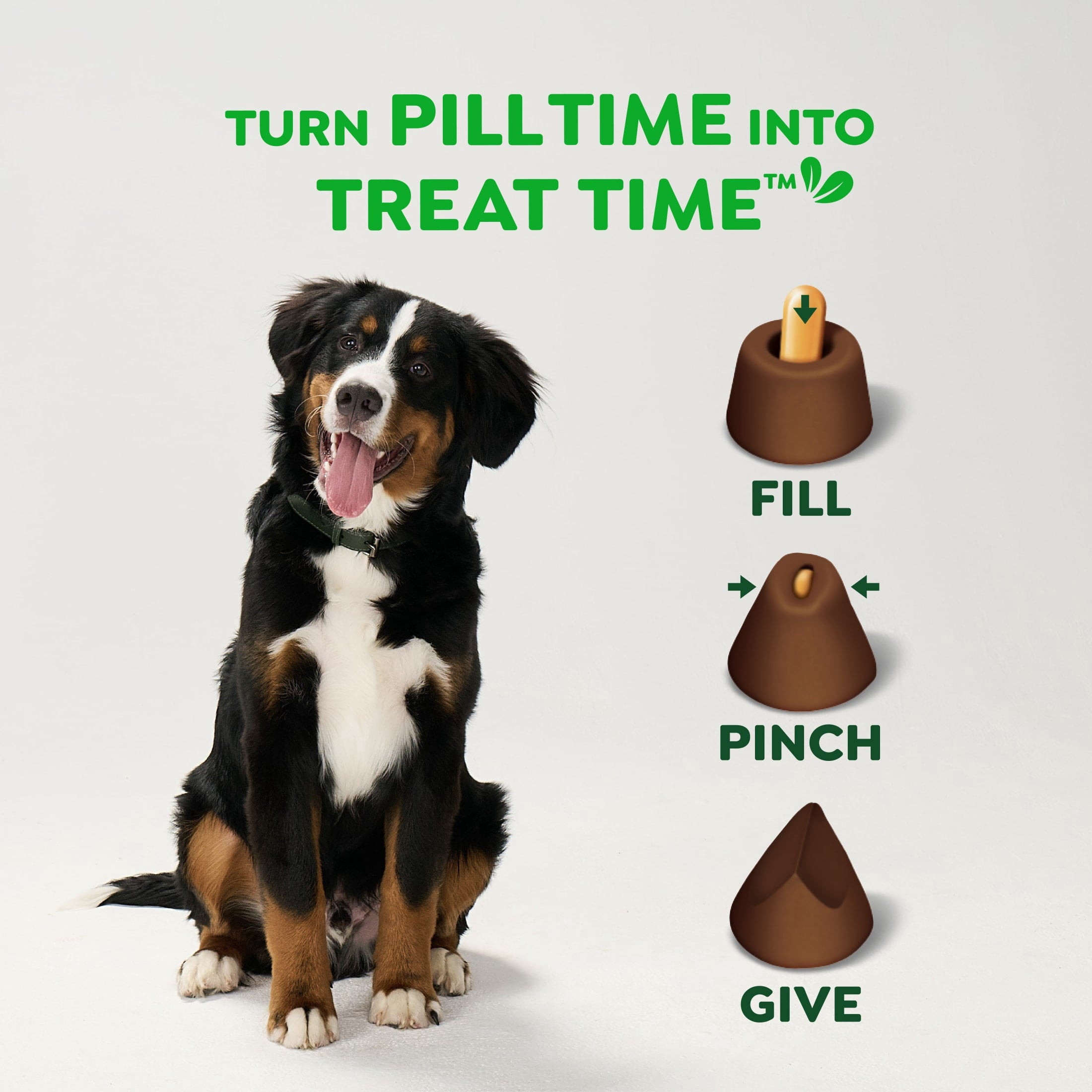 Greenies Pill Pockets for Dogs Capsule Size Natural Soft Dog Treats - Hickory Smoke Flavor, 7.9 oz Pack (30 Treats) - 2-Pack