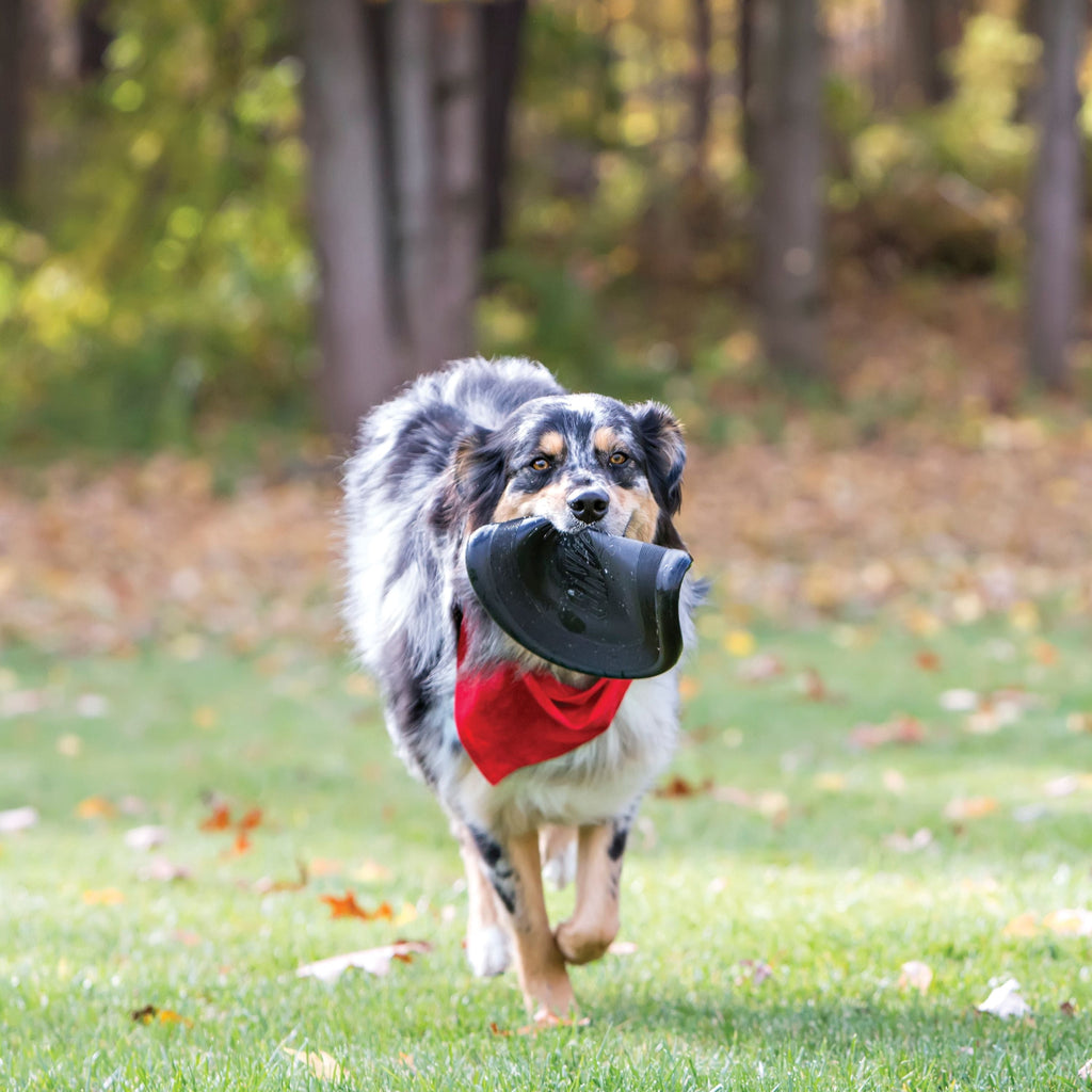 KONG® Extreme Flyer Disc for Power Chewers - Large, for Dogs Between 30-65 lbs