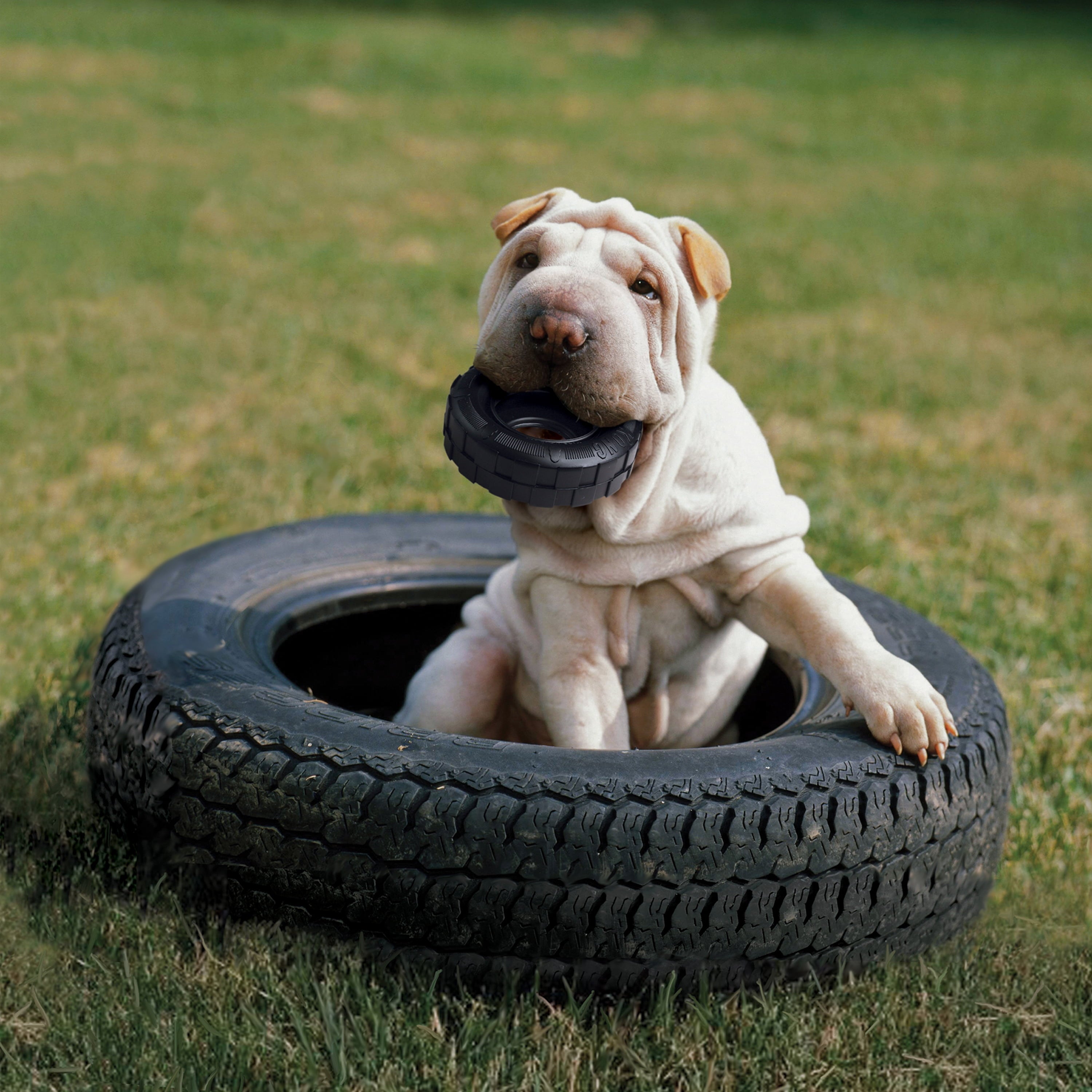 KONG Extreme Tire Durable Dog Toy - Black, Medium/Large for Dogs Between 30-65 lbs