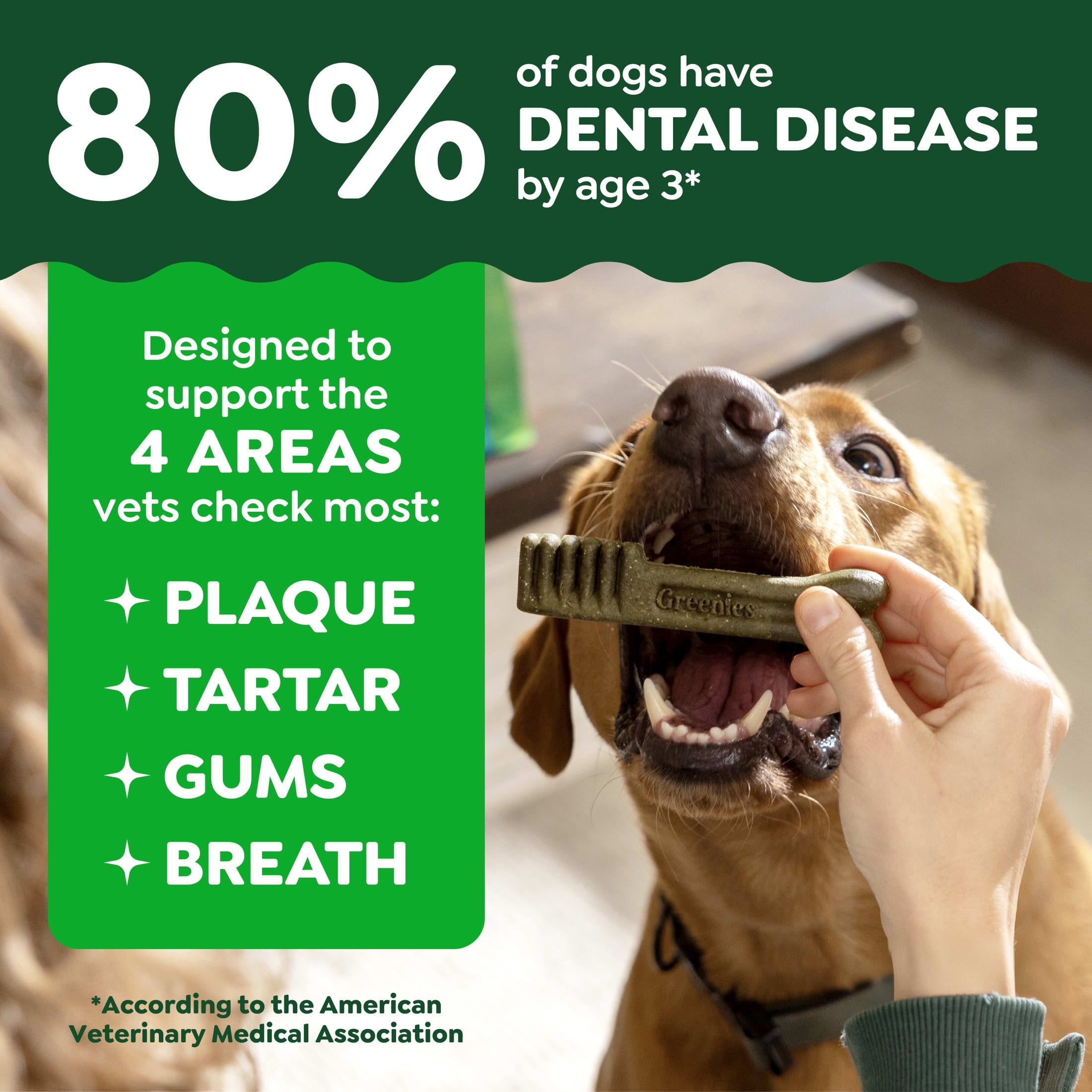 Greenies Blueberry Flavor Adult Natural Dental Dog Treats Large Size - 12 oz Pack (8 Count)
