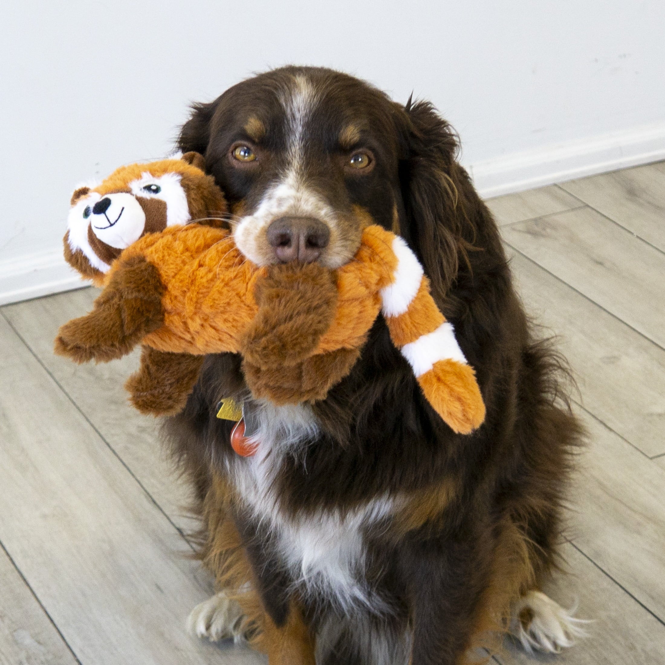 KONG® Scampers Squeaker Plush Dog Toy - Red Panda, Medium