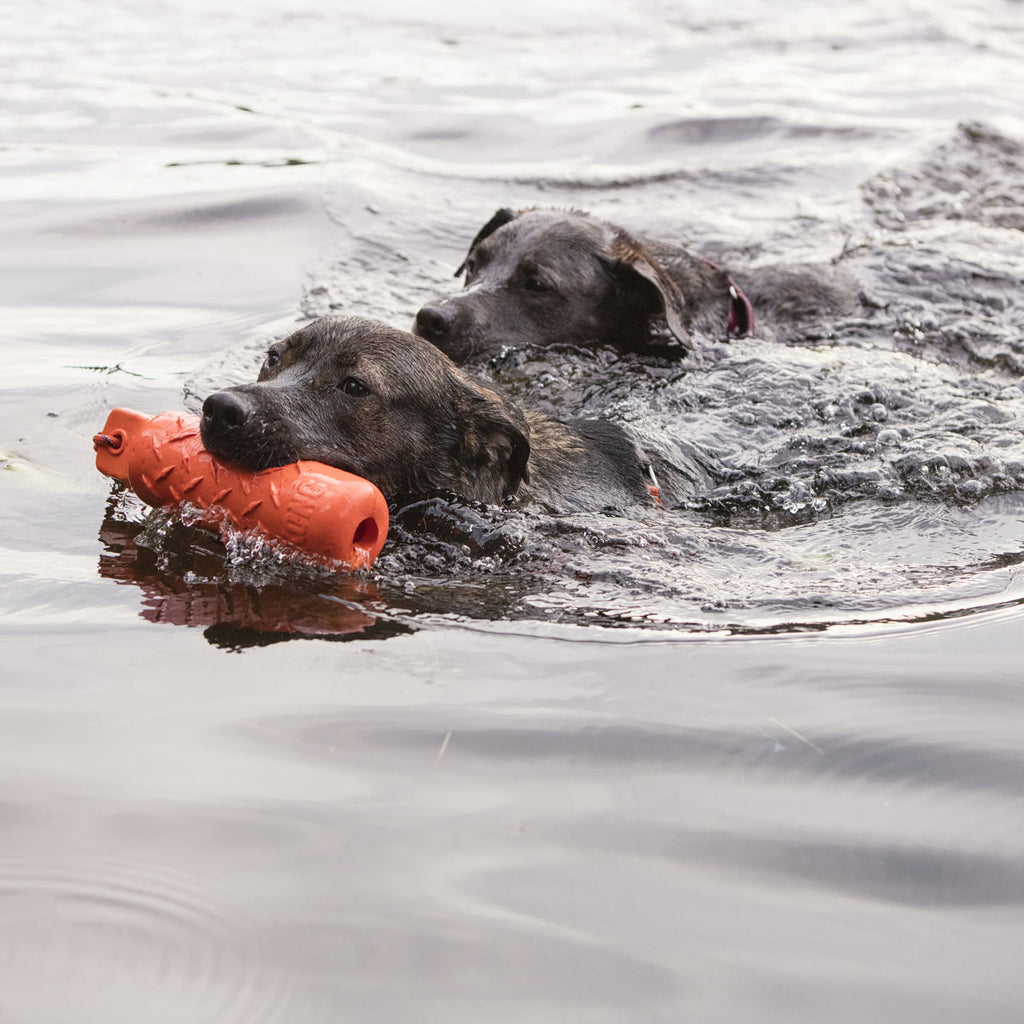 KONG® Training Dummy Toy for Dogs - Foam, for Land and Water, Large
