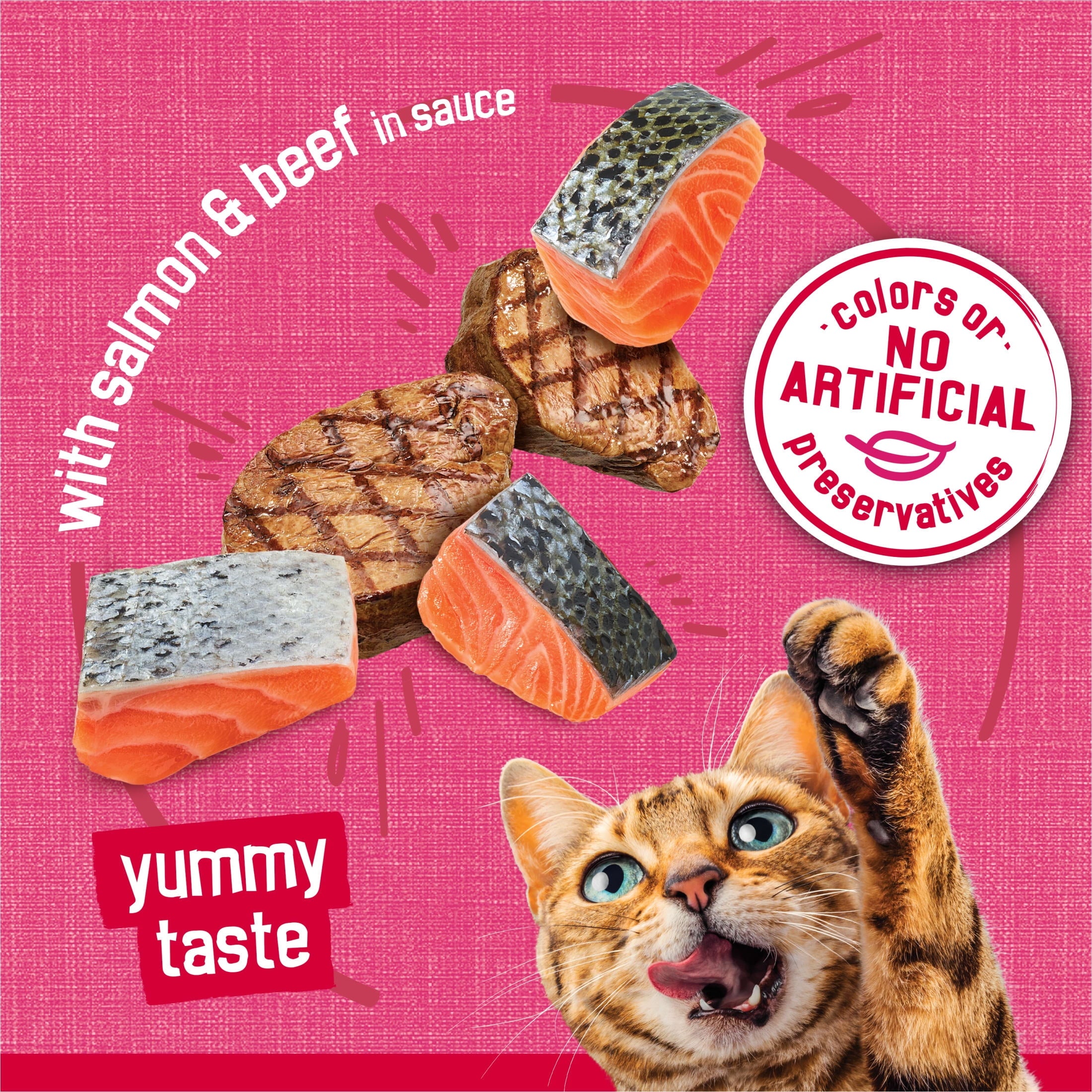 Purina Friskies Prime Filets - Salmon and Beef in Sauce, Wet Cat Food, 5.5 oz Can - 12-Pack