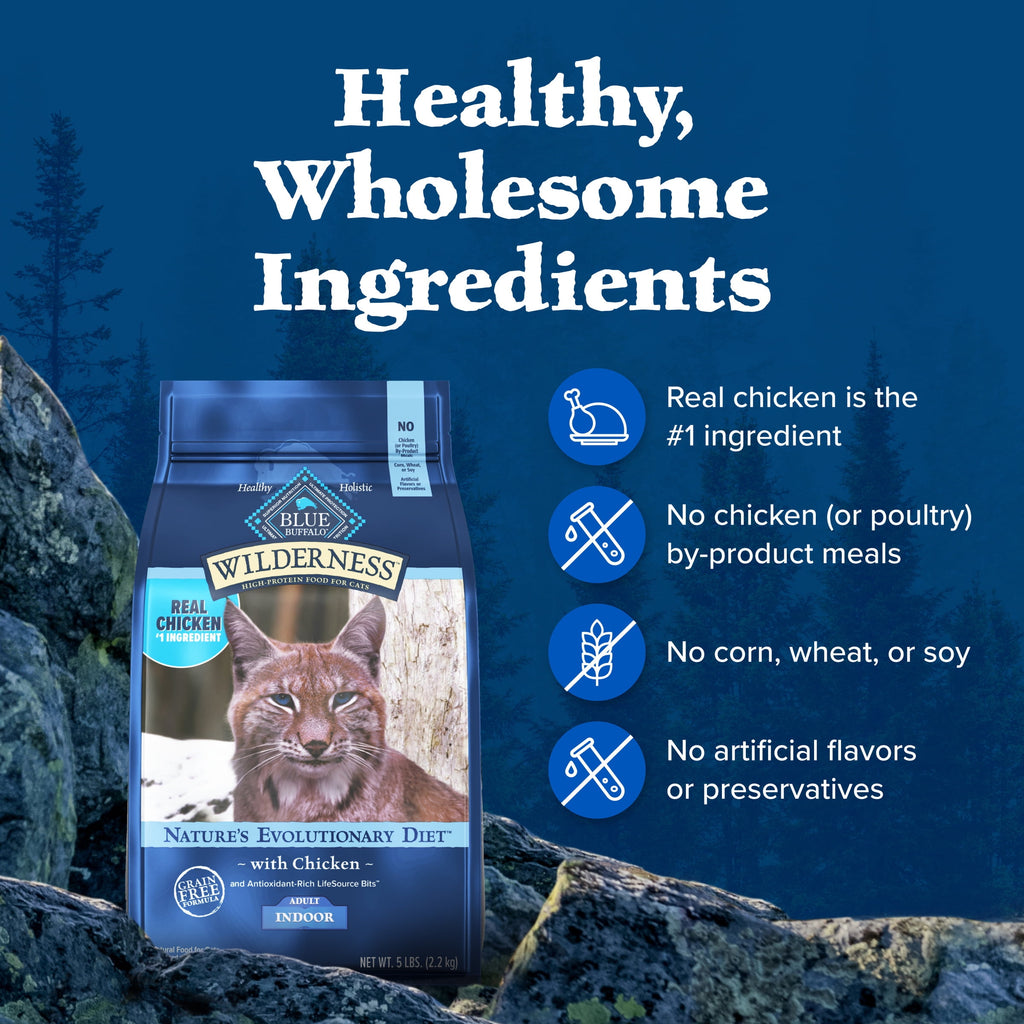 Blue Buffalo Wilderness Natural High-Protein - Grain-Free Dry Cat Food, Chicken, 9.5-lb. Bag - 2-Pack