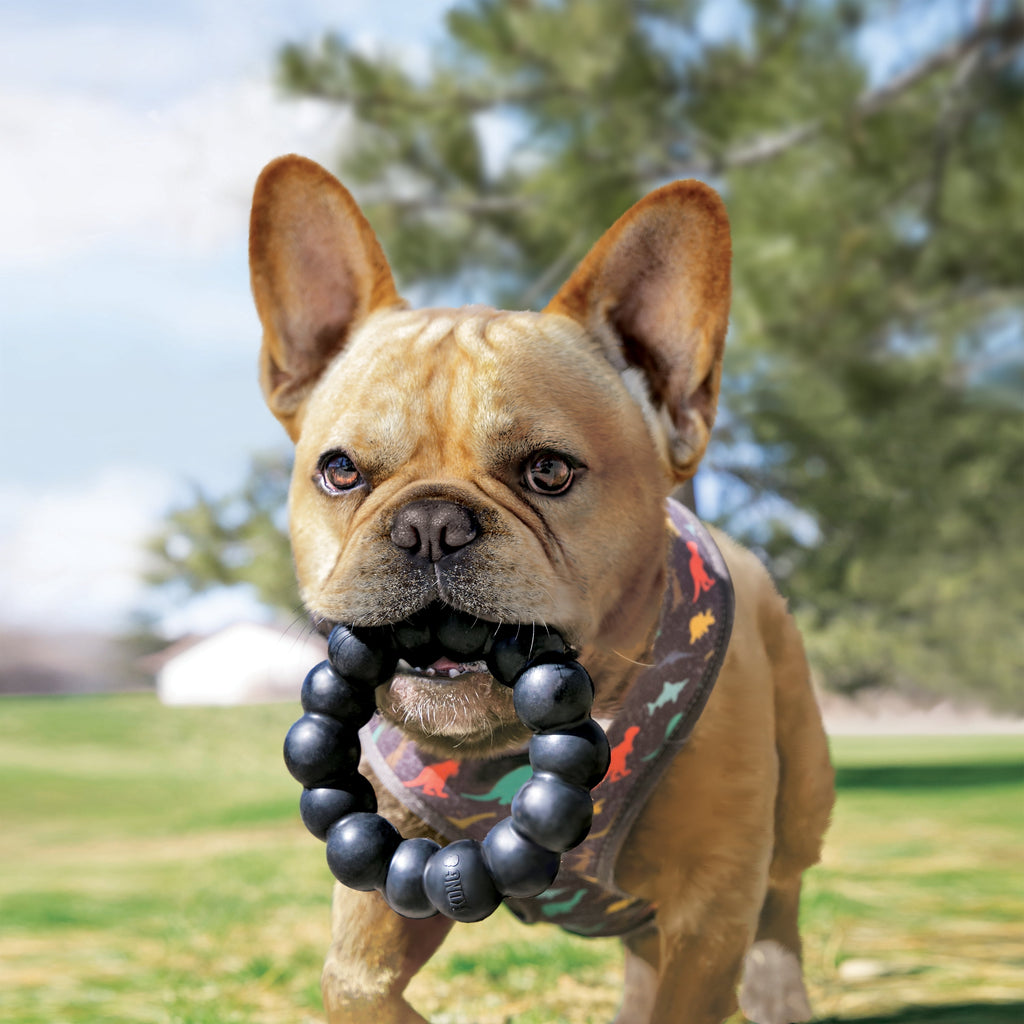 KONG® Extreme Ring Durable Dog Toy - Extra Large, for Dogs Between 60-95 lbs