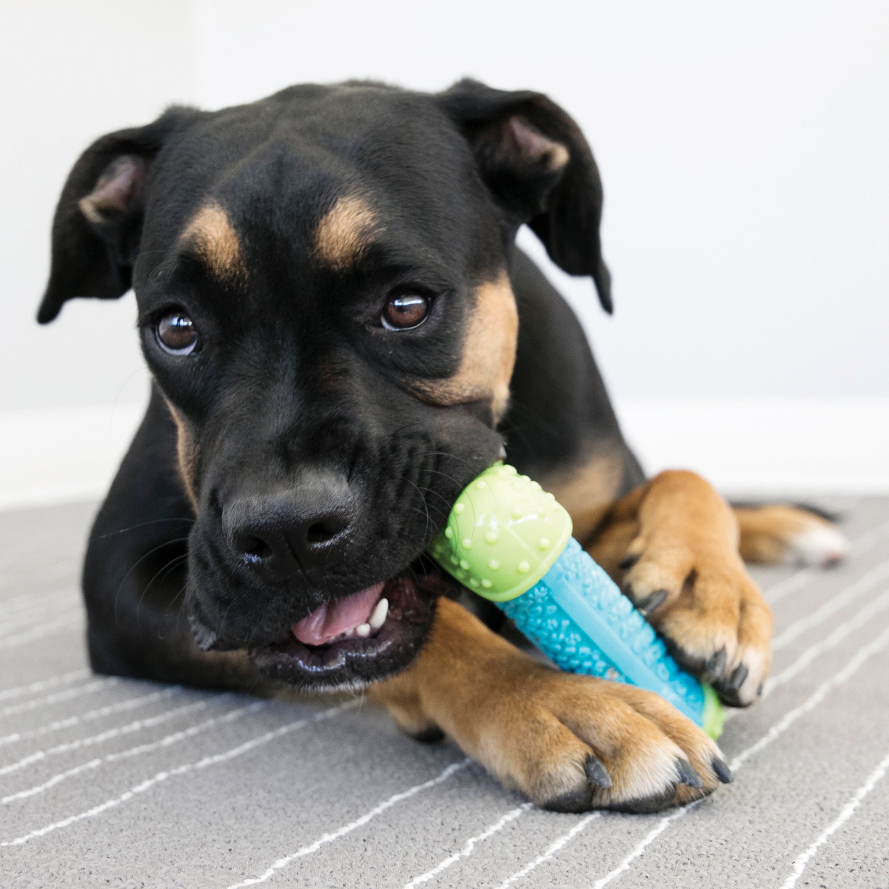 KONG® CoreStrength Bone - Medium/Large, for Dogs Between 30-65 lbs