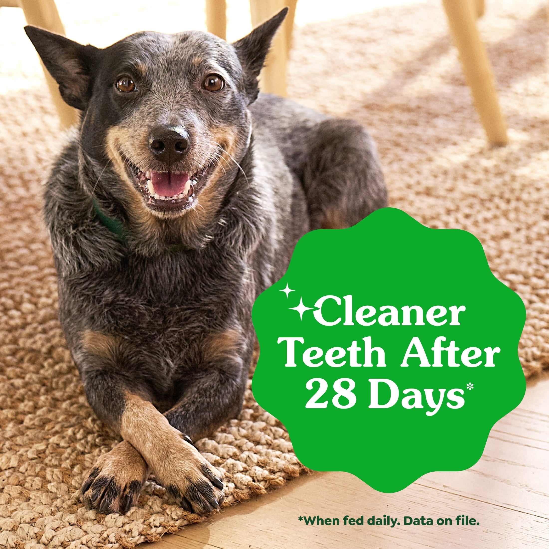 Greenies Aging Care Adult Natural Dental Dog Treats Regular Size - 27 oz Pack (27 Count)