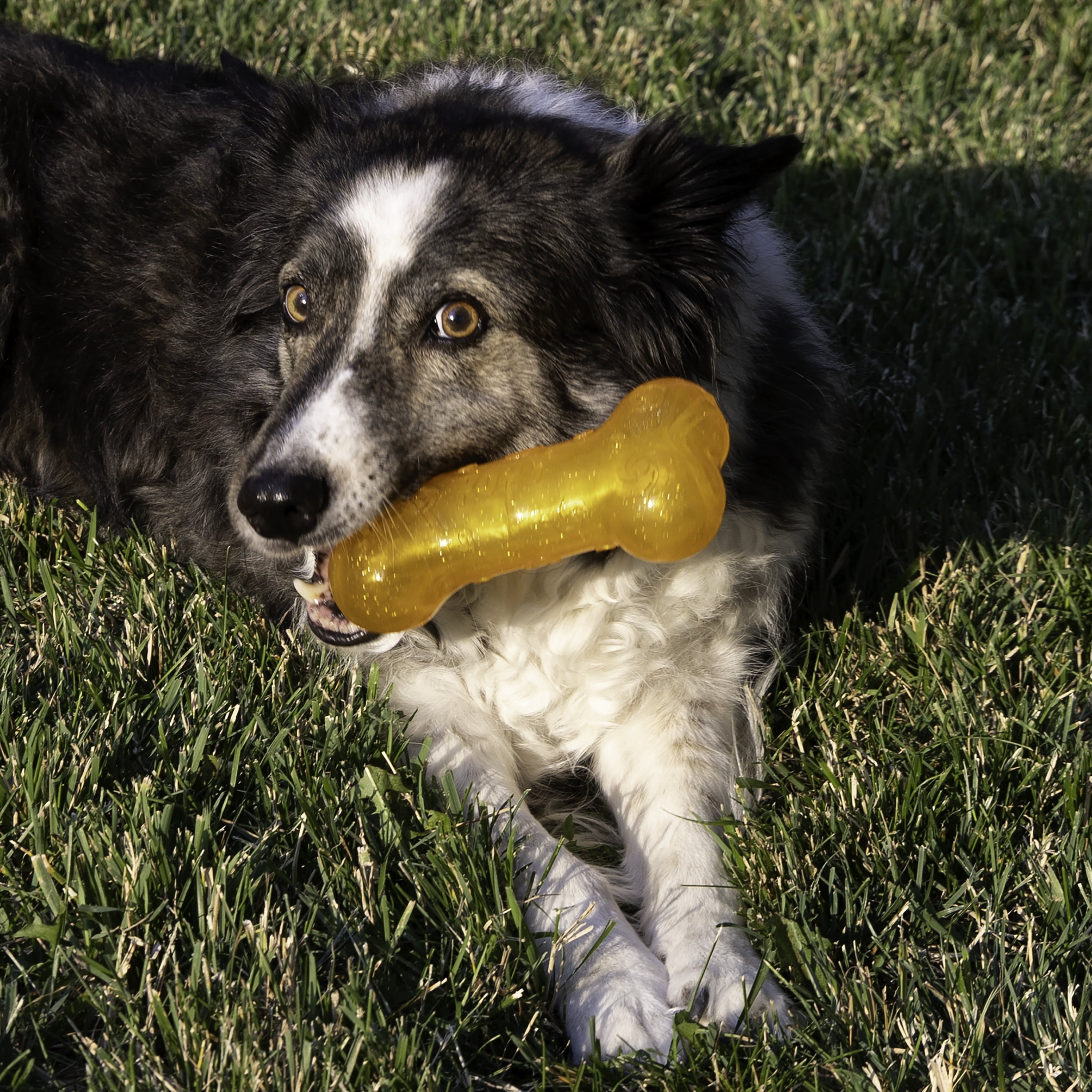KONG® Squeezz Bone Crackle Dog Toy - Large