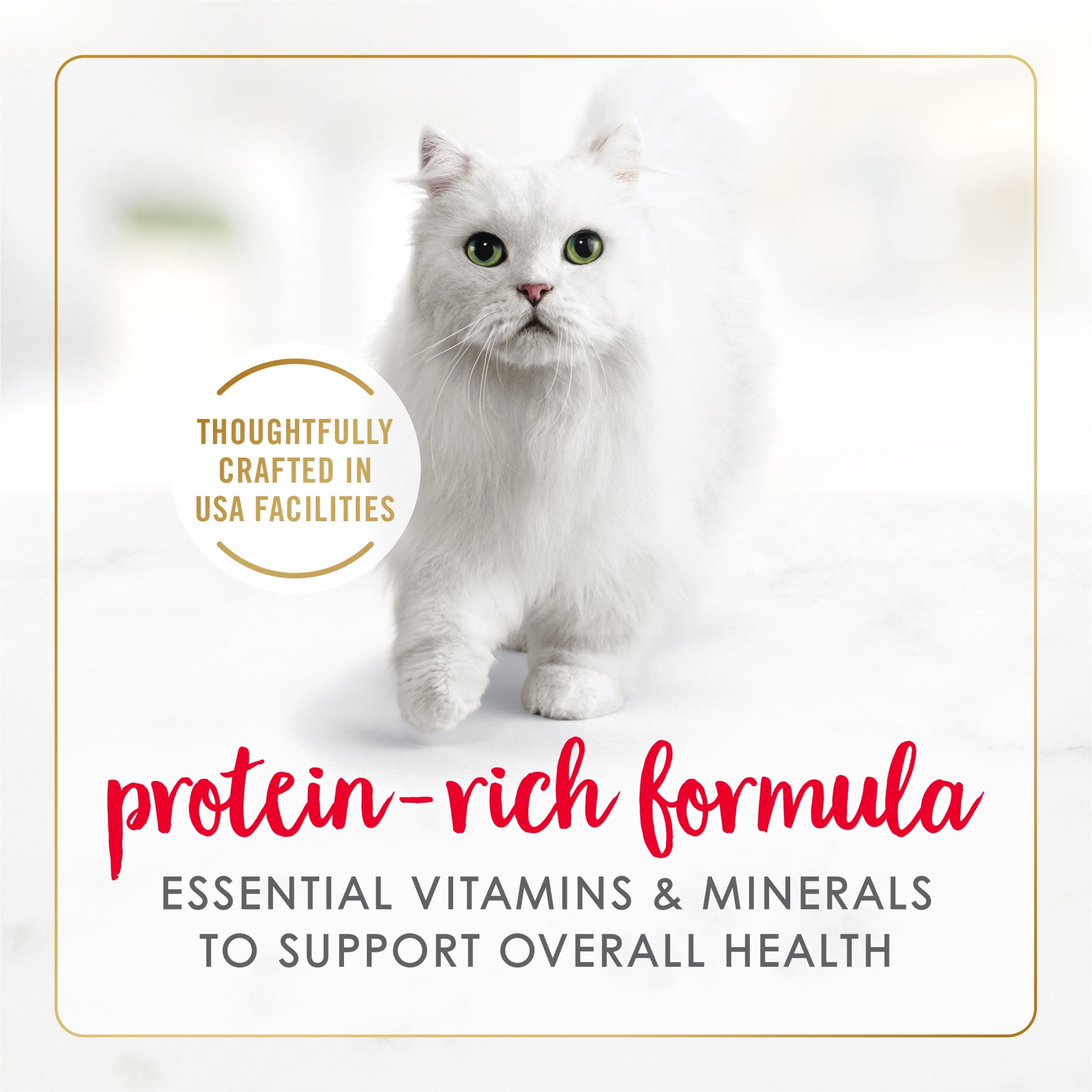Purina Fancy Feast Tender Beef and Chicken Feast Classic Grain Free Wet Cat Food Pate - 3 oz.