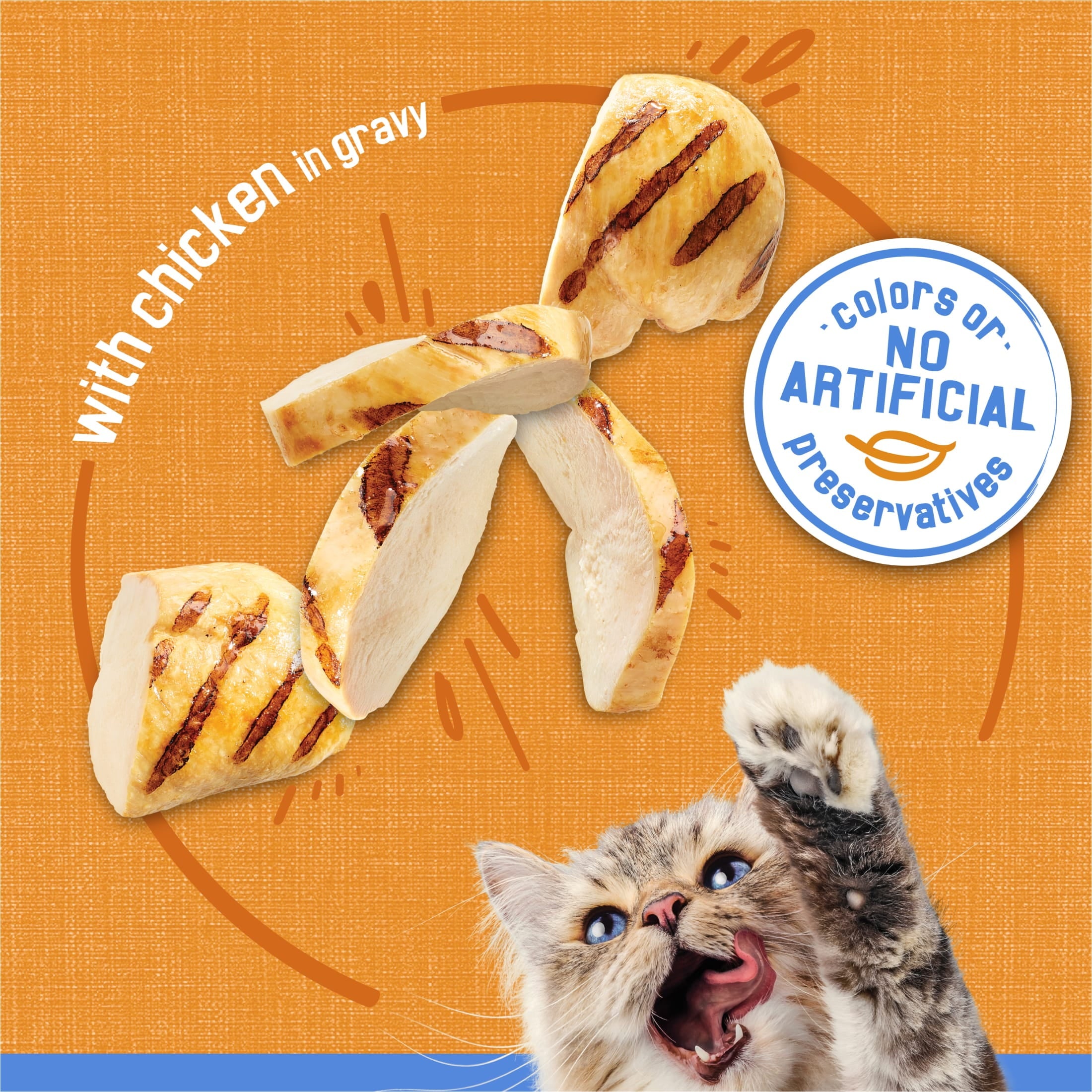 Purina Friskies Shreds - Chicken in Gravy, Wet Cat Food, 5.5 oz Can - 12-Pack