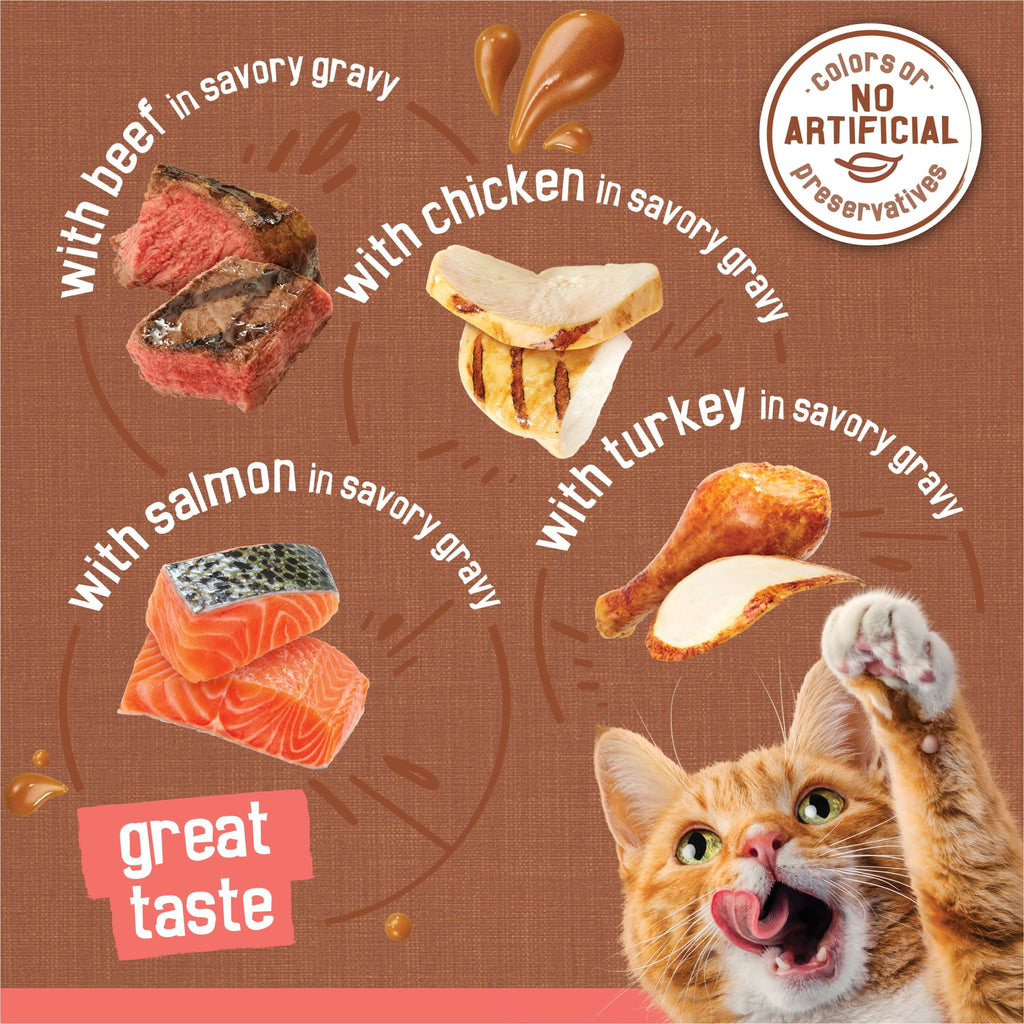Purina Friskies Extra Chunky Gravy Variety Pack - Wet Cat Food, 5.5 oz Cans - 2-Pack